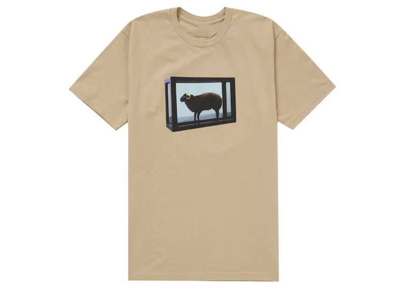 Other Men’s Khaki Tee Size US L / EU 52-54 / 3 - 3 Thumbnail