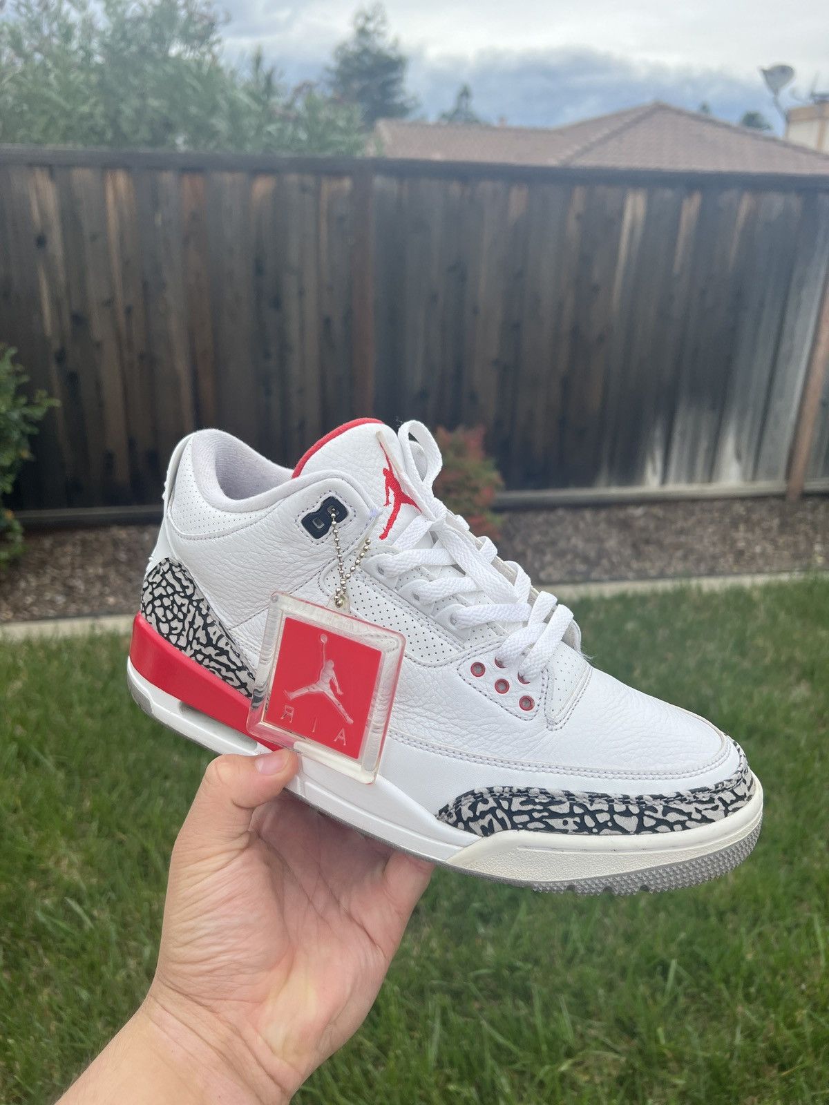 jordan hall of fame 3s