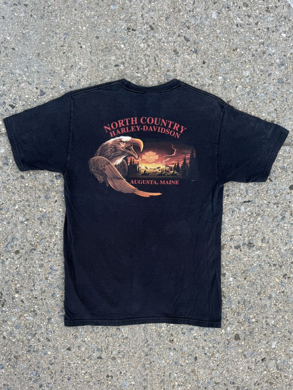 Harley Davidson × Vintage Vintage Y2K Harley Davidson Eagle North Country Size US M / EU 48-50 / 2 - 3 Thumbnail