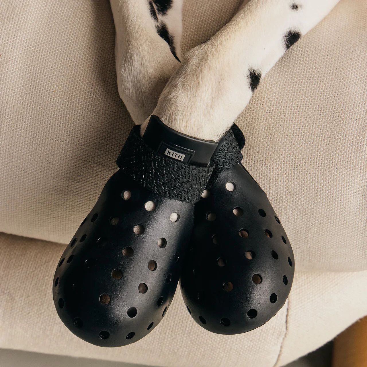 Kith (Size M) Kith for wagwear WagWellies Mojave Black Size ONE SIZE - 7 Thumbnail