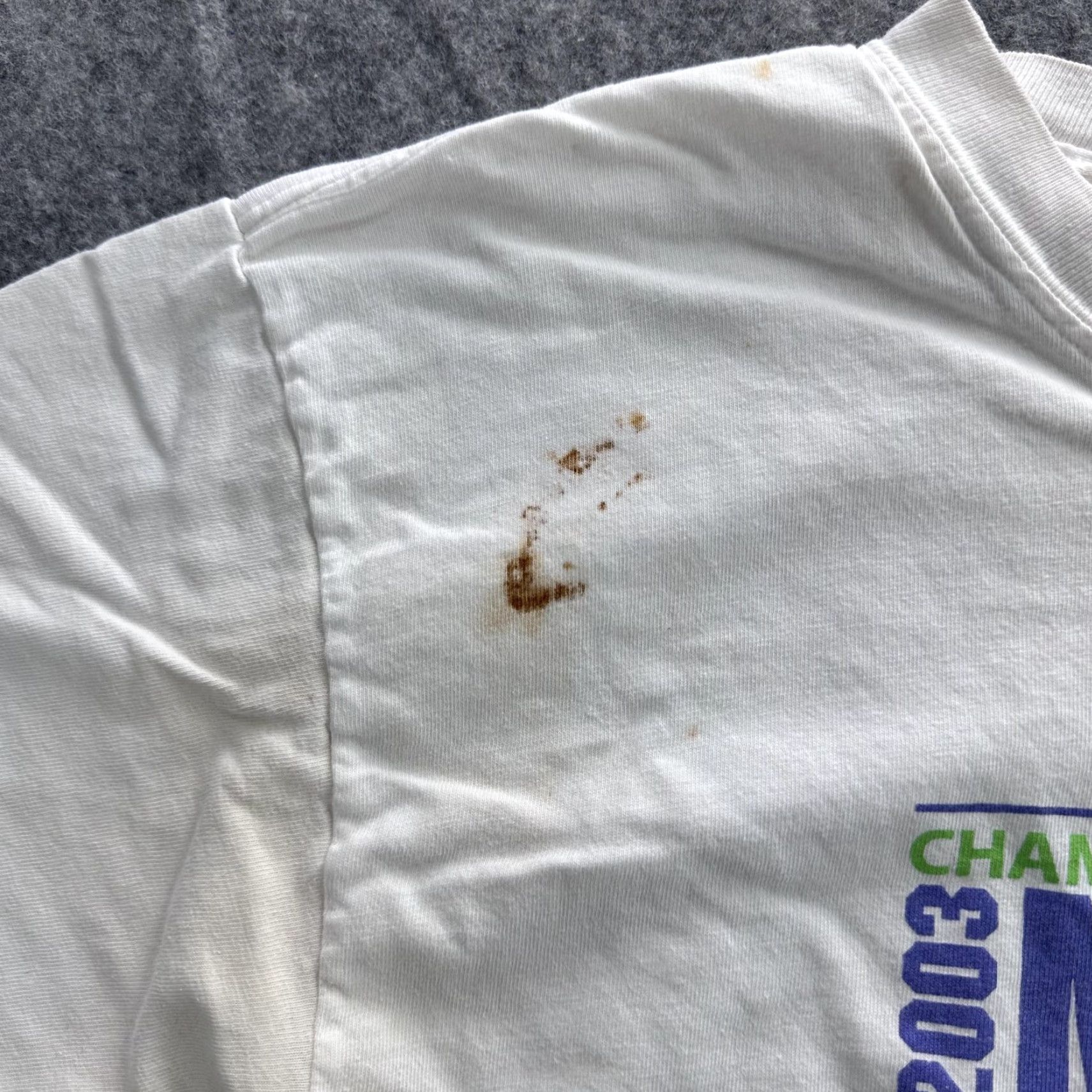 Hanes VINTAGE Hanes Champaign Park District Mini-Tri Shirt Mens Large White Graphic 2000s Sports Size US M / EU 48-50 / 2 - 3 Thumbnail