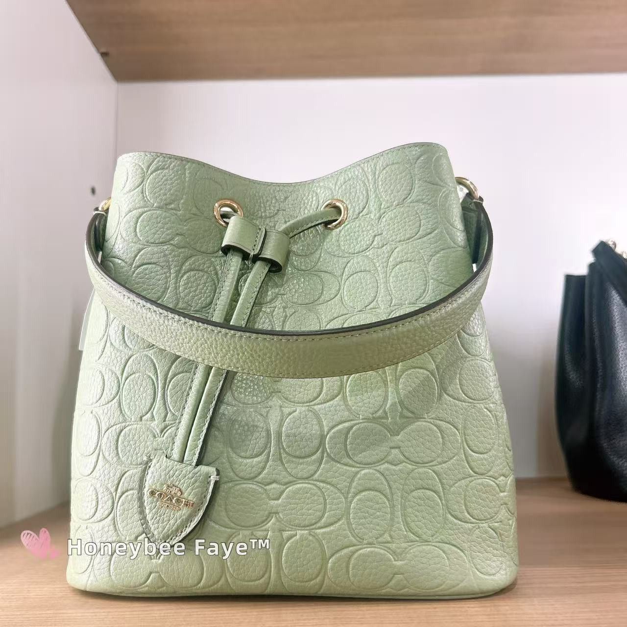 Coach Rowan Bucket Bag In Signature Leather CEA96 Gold/Pistachio Size ONE SIZE - 3 Thumbnail