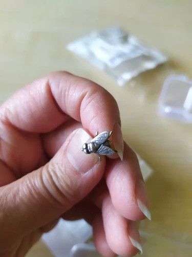 Jewelry Insect Flies Stud Earrings 925 Sterling Charm Earring Gift Size ONE SIZE - 2 Thumbnail