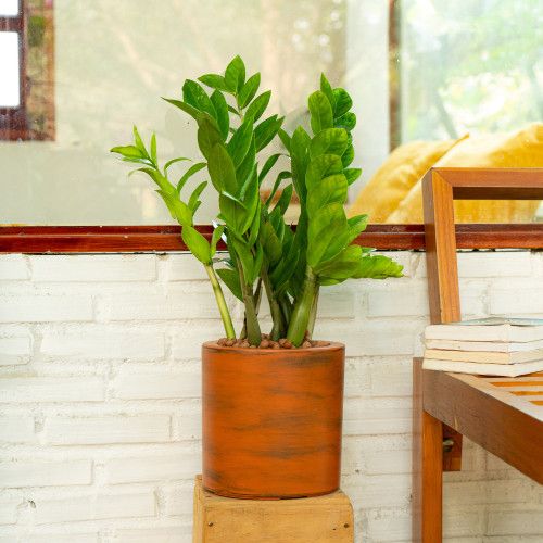 Designer × Homemade 7.8 in. Painted Plastic Self-watering Planter Pot Size US L / EU 52-54 / 3 - 7 Thumbnail
