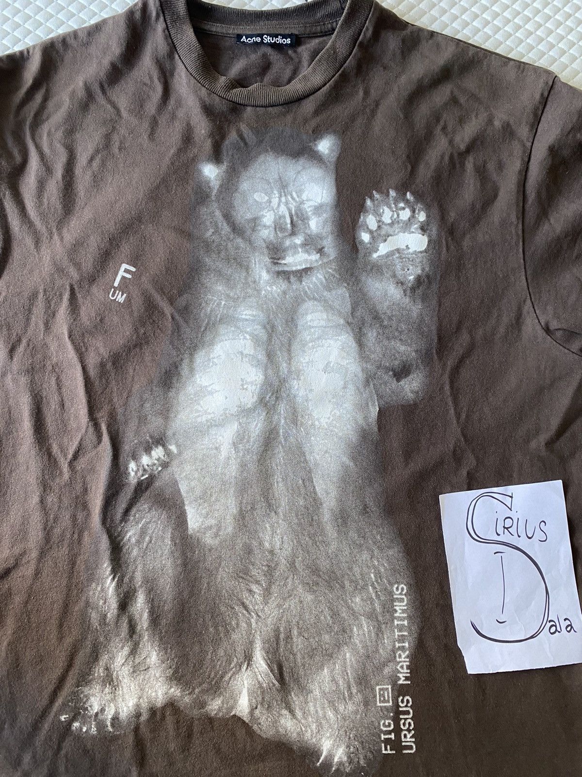Acne Studios Acne studios brown x-ray bear Tshirt | Grailed