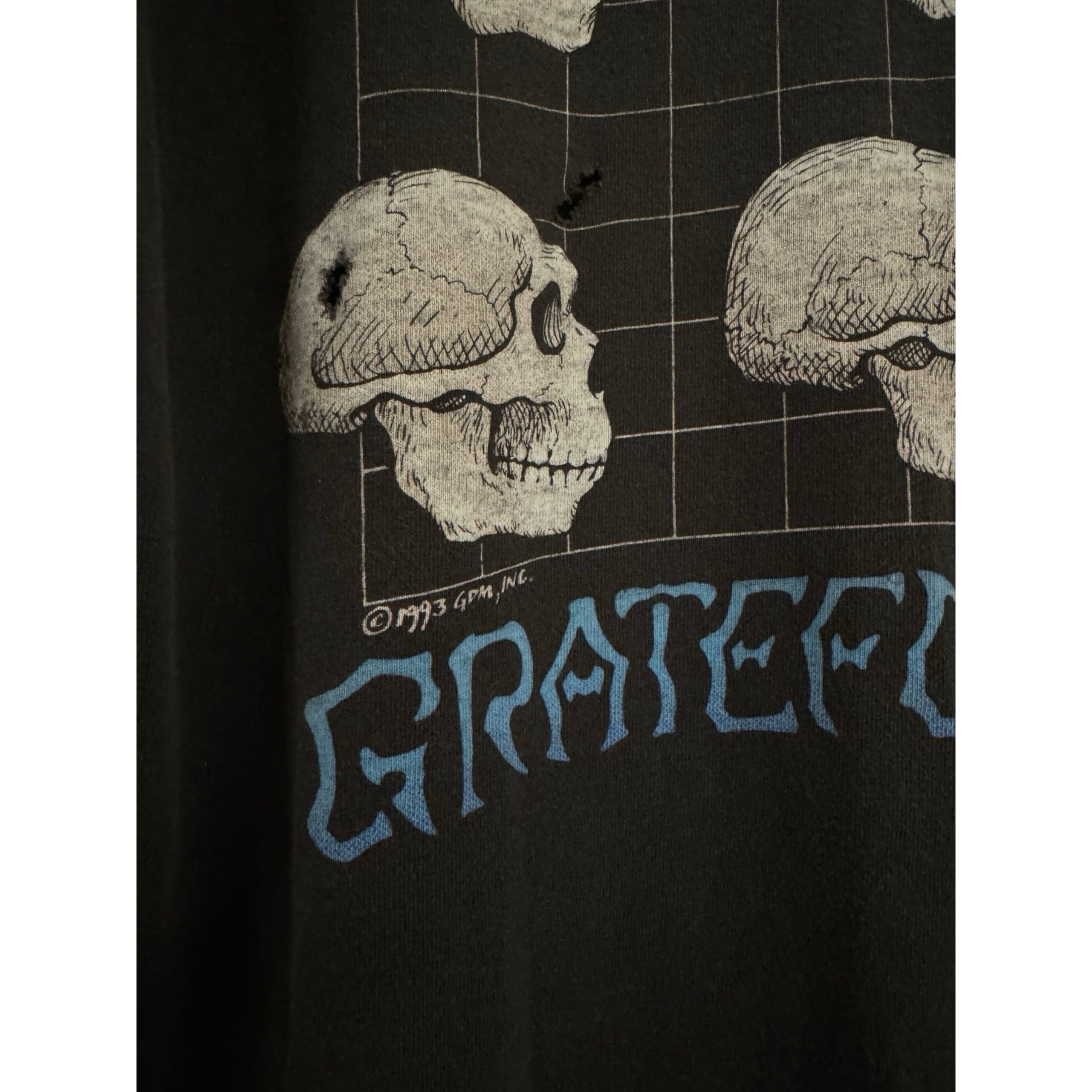 Grateful Dead Strange Trip 1993