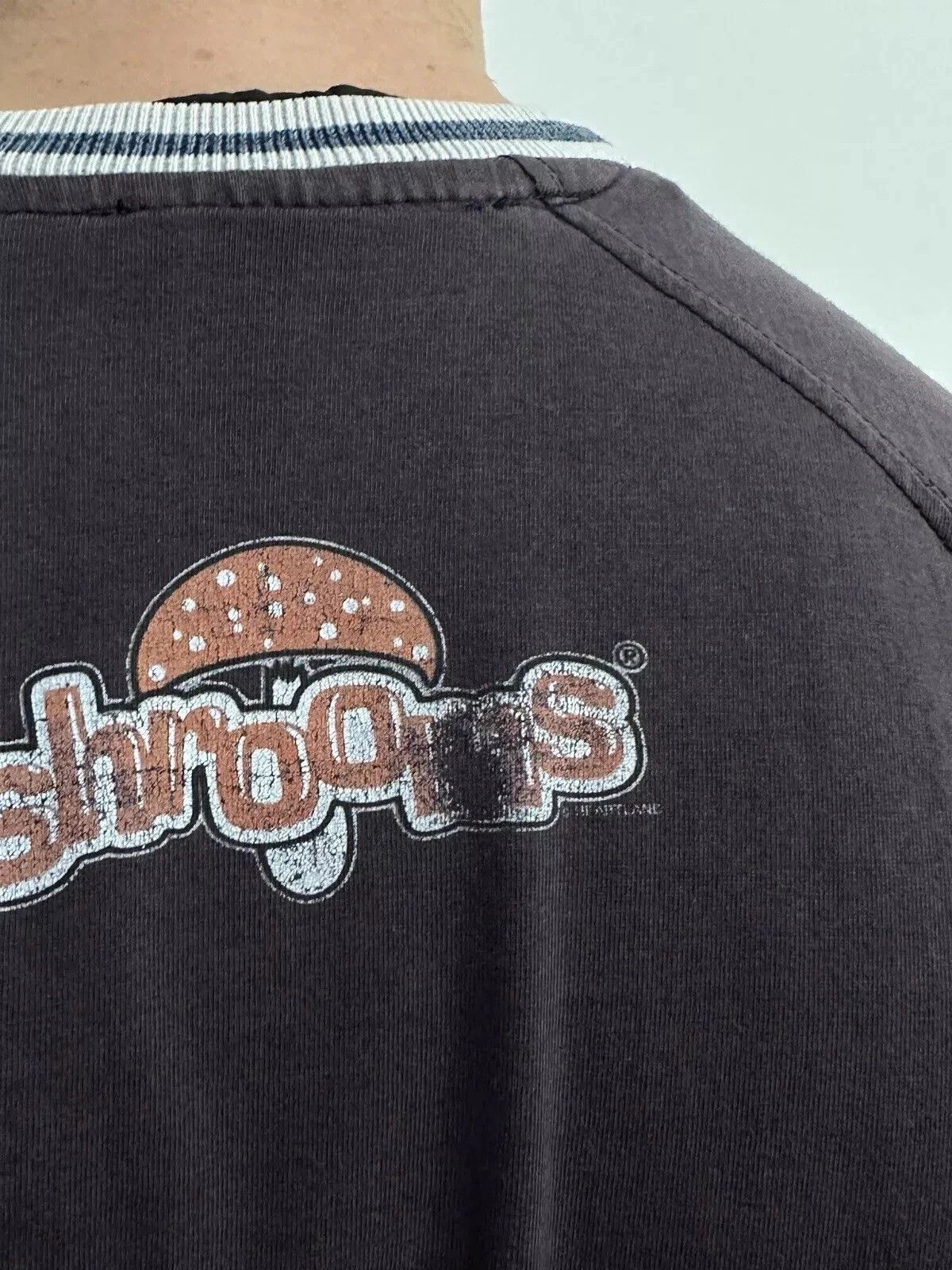 Vintage VINTAGE 2000s Y2K SHROOMS HEARTLAND SHIRT FADED SKATEBOARD Size US M / EU 48-50 / 2 - 10 Thumbnail