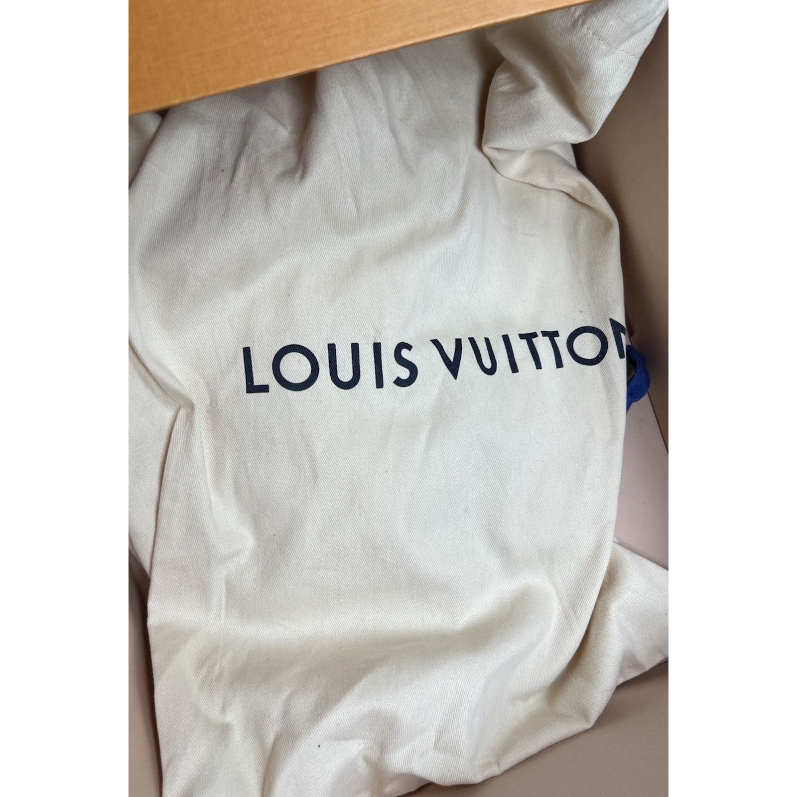 Louis Vuitton Size 6LV/7US - Louis Vuitton Runner Tatic Silver Size US 7 / EU 40 - 10 Thumbnail
