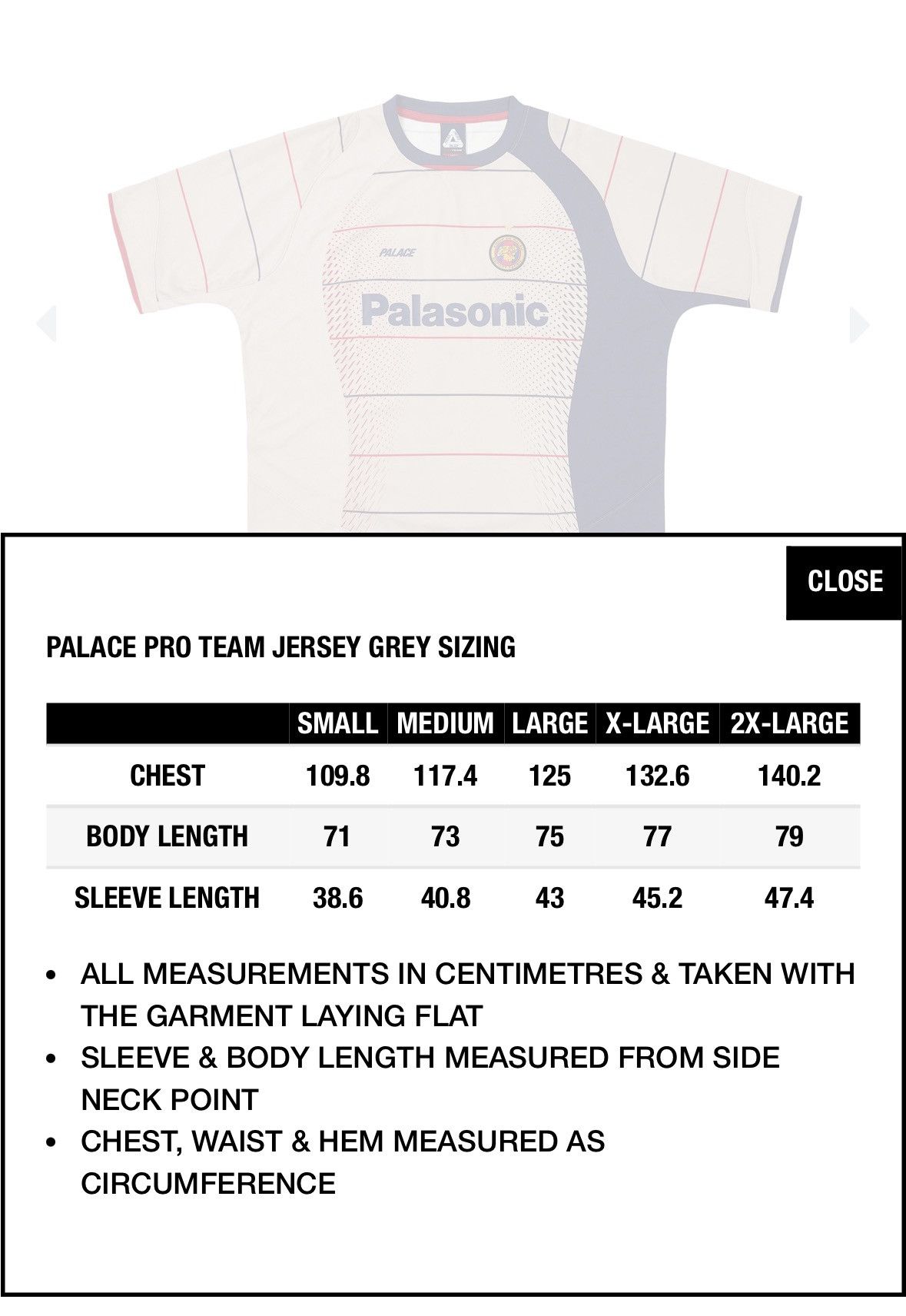 Palace Pro Team Jersey Grey