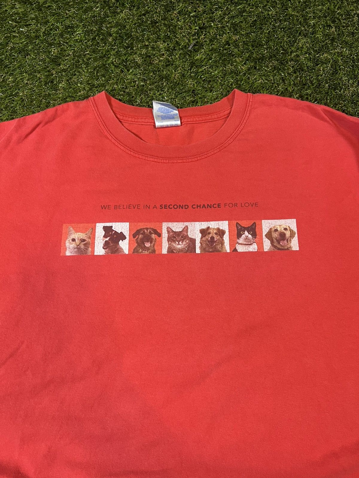 Vintage Vintage Y2k Dogs Cats Love Pets Essential Fall Box Logo Tee Size US XL / EU 56 / 4 - 2 Thumbnail