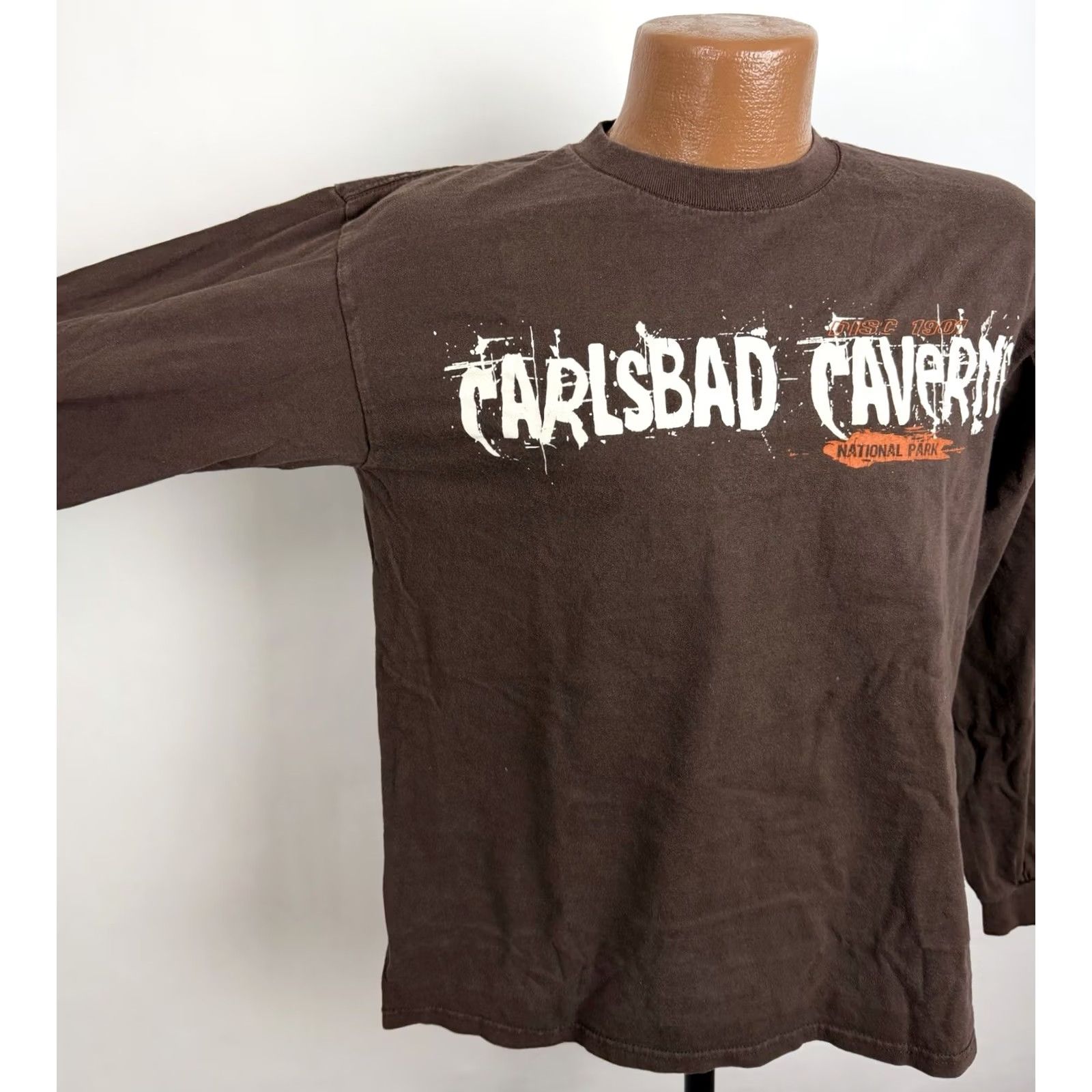 Anvil VINTAGE Carlsbad Caverns Shirt Mens Medium Brown Long Sleeve Tee 90s Grunge Retro NM New Mexico Anvil Cotton T-Shirt Mens Size US M / EU 48-50 / 2 - 4 Thumbnail