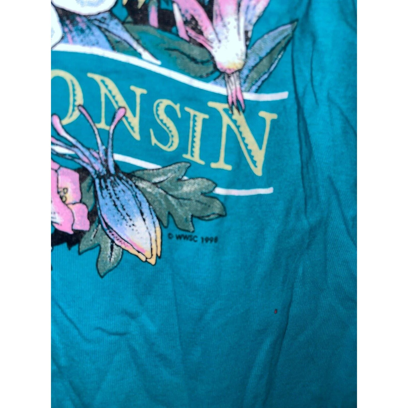 Jerzees Vintage Wisconsin Flower Shirt Teal Tee VTG 90s 1998 Large Size US XL / EU 56 / 4 - 6 Thumbnail