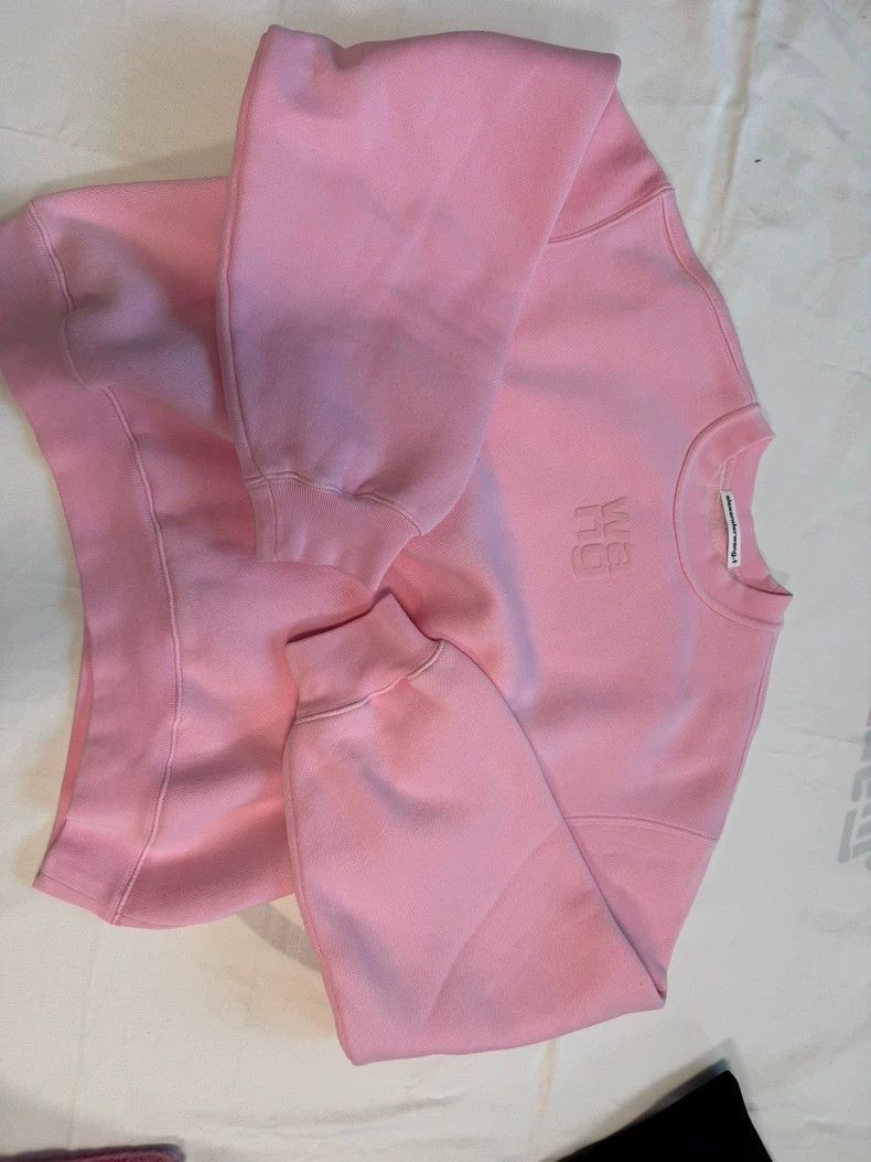 Alexander Wang Alexander Wang Pink Fleece Sweatshirt Size S / US 4 / IT 40 - 1 Thumbnail