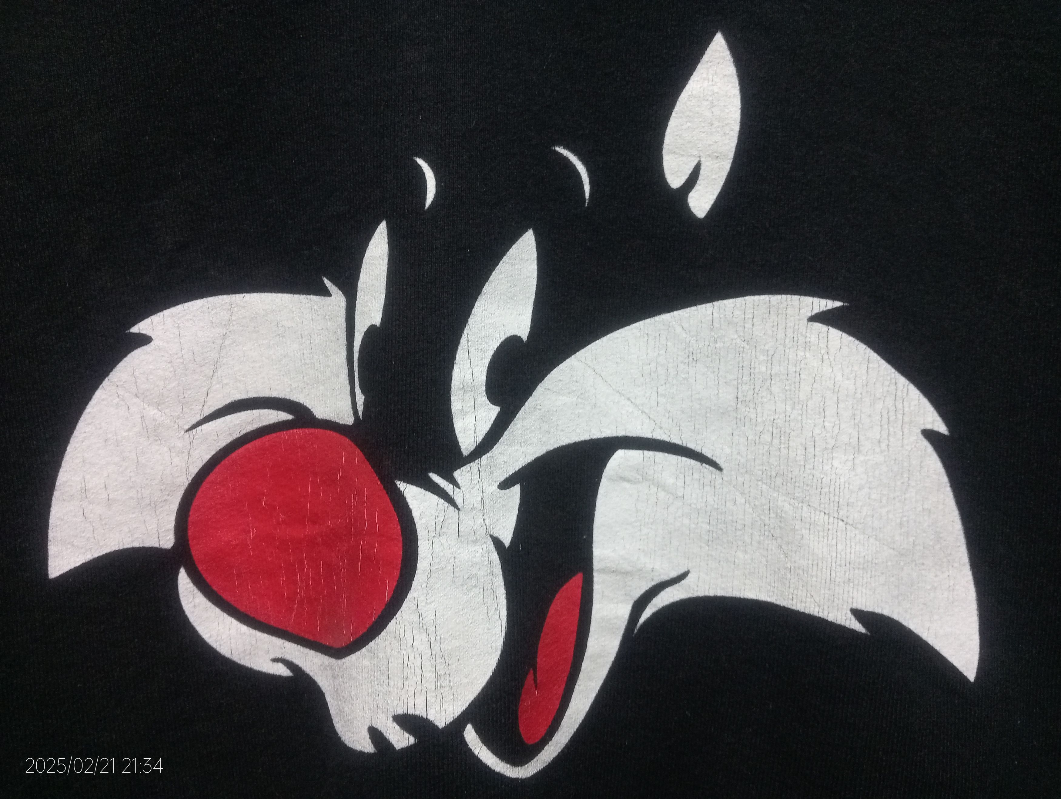 Acme Clothing VTG 1991 Acme Clothing WB Sylvester Heavy Weight Sweatshirt Size US L / EU 52-54 / 3 - 9 Thumbnail