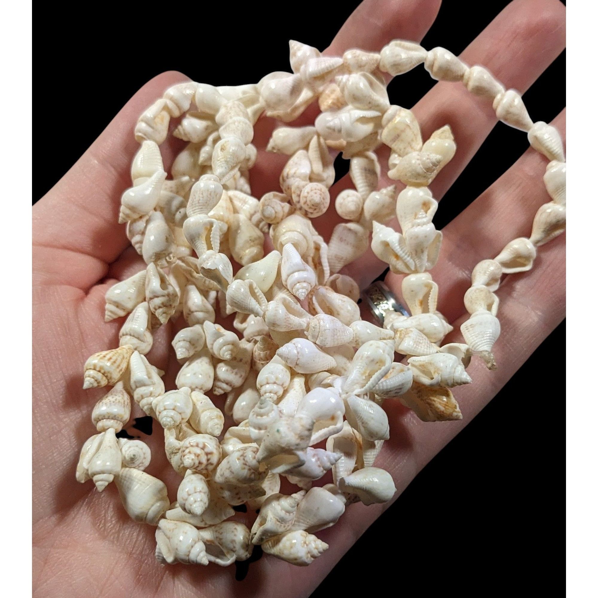 Other Mermaidcore Summer Beachy Cream Seashell Necklace Size ONE SIZE - 4 Thumbnail