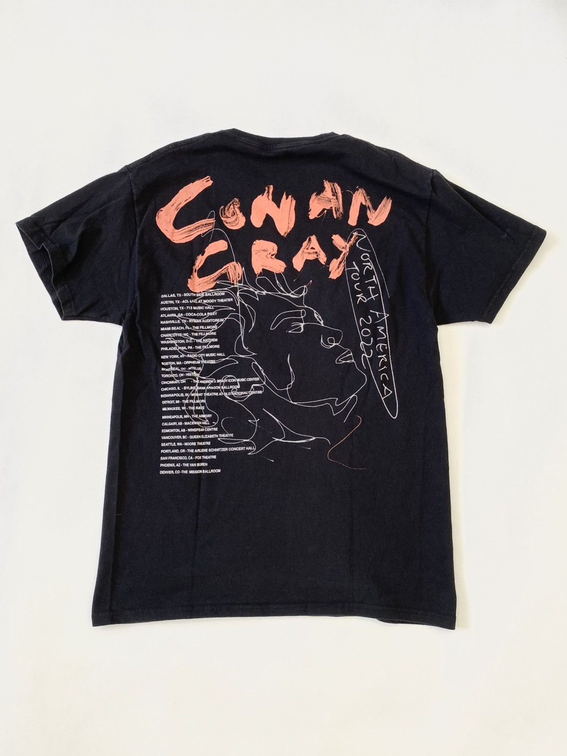 Band Tees Conan Gray Tour Promo Tee Size US M / EU 48-50 / 2 - 4 Thumbnail