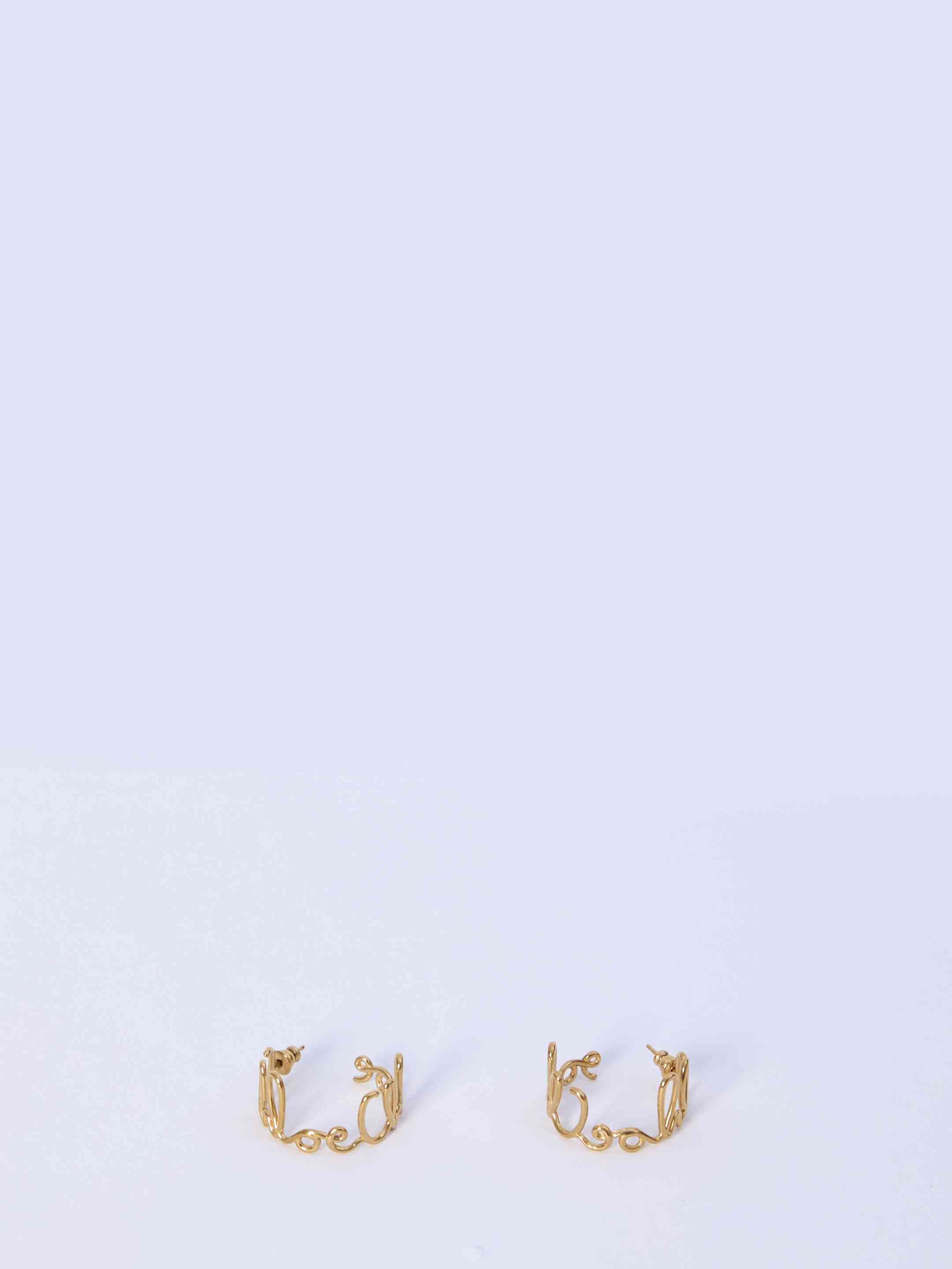 Chloe Chloé Iconic hoop earrings Size ONE SIZE - 1 Thumbnail
