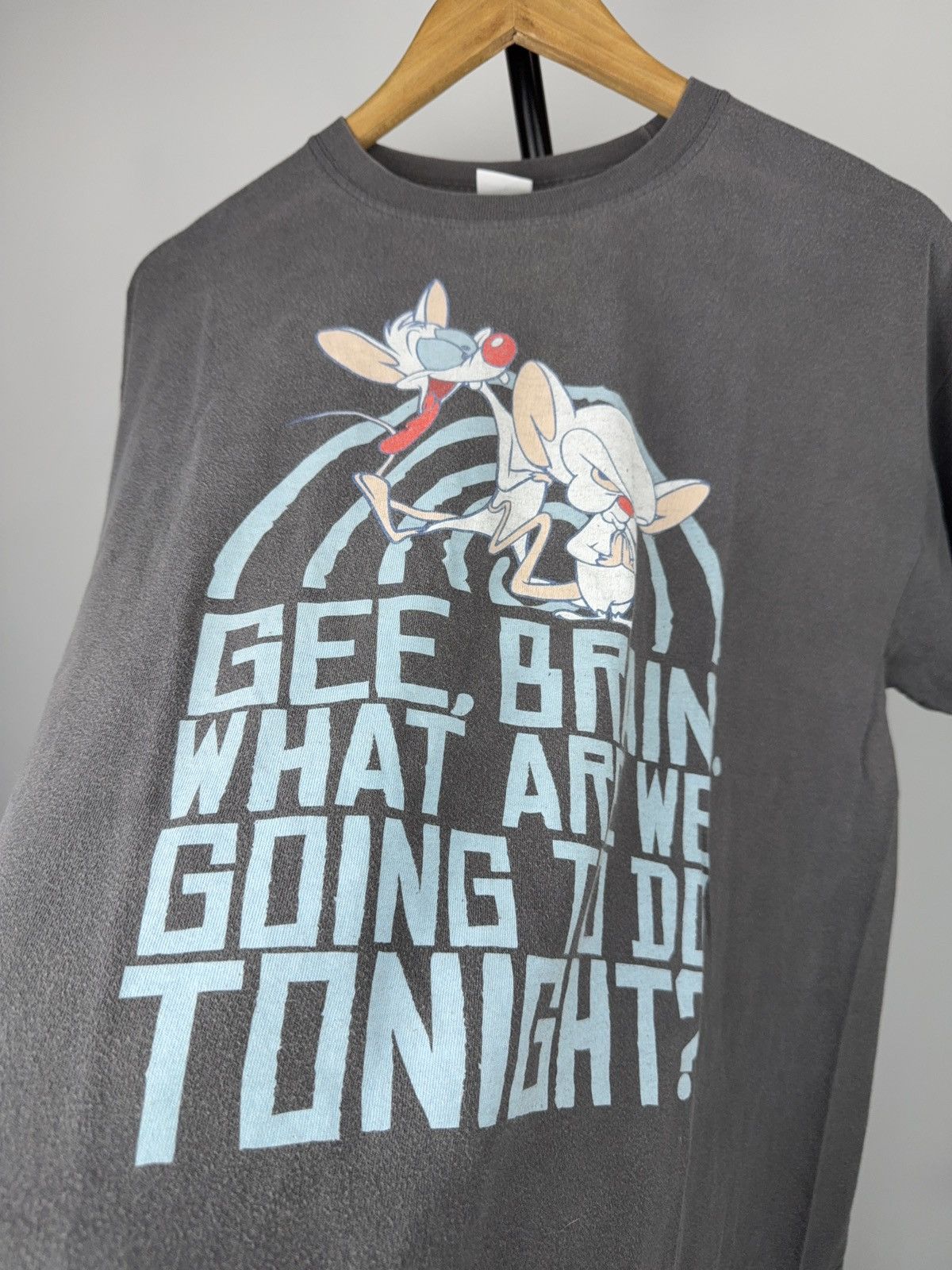 Warner Bros 2007 Pinky and the Brain Vintage Quote Graphic T-Shirt Size US L / EU 52-54 / 3 - 5 Thumbnail