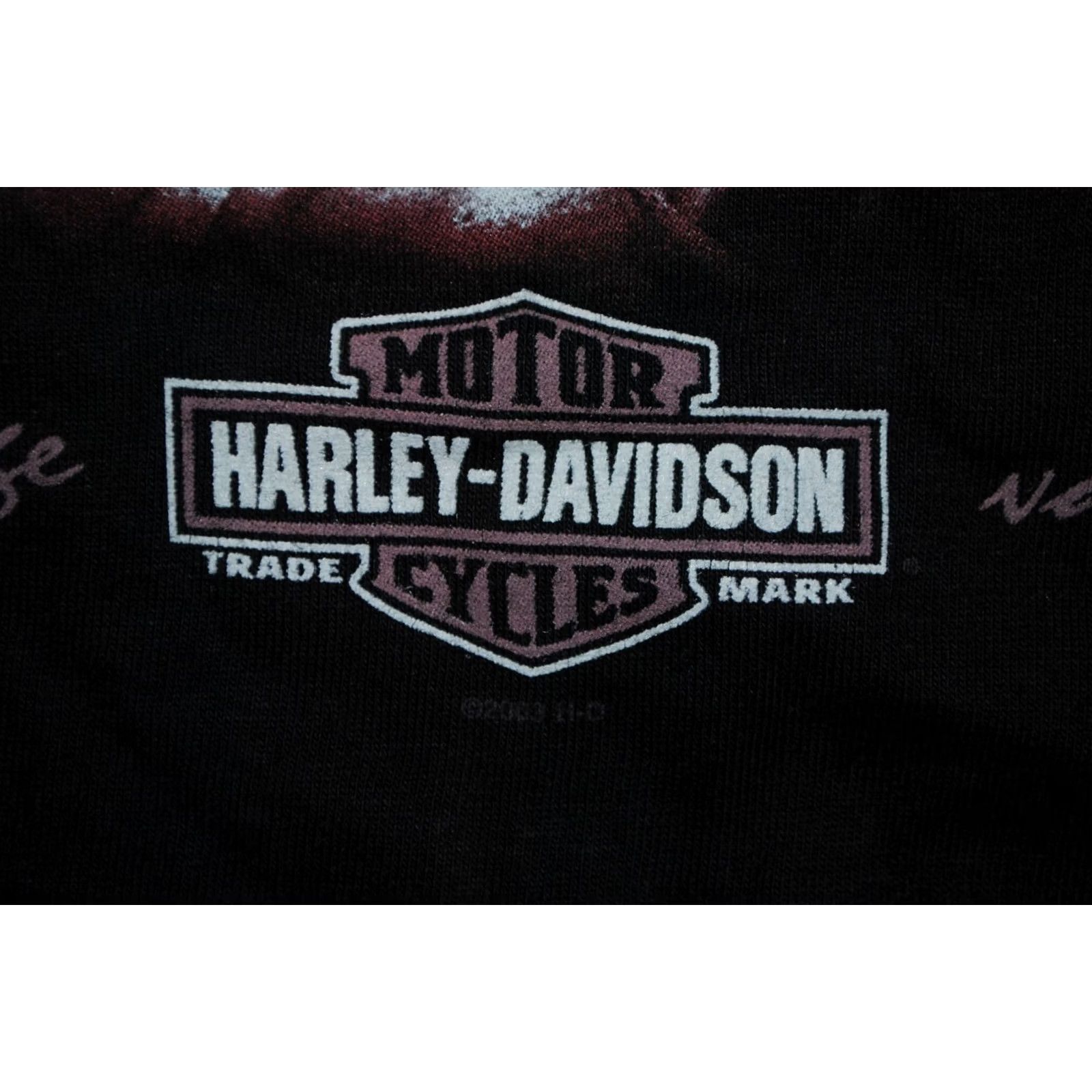 Harley Davidson VINTAGE Harley-Davidson 100 Years Anniversary Milwaukee USA TSHIRT MENS XXL Shirt Mens XXLLD? Size US XXL / EU 58 / 5 - 3 Thumbnail