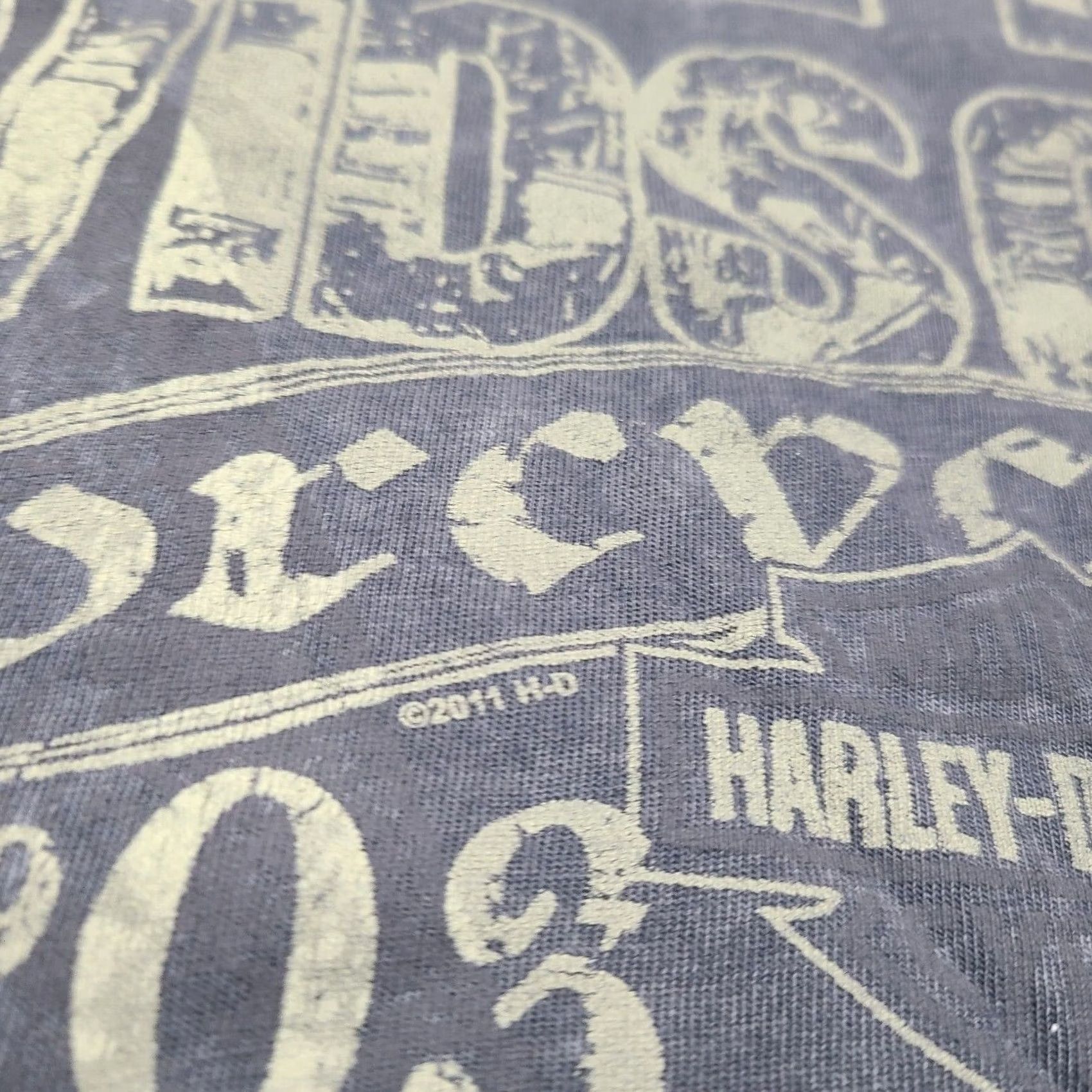 Harley Davidson Harley-Davidson T-Shirt Nags Head, North Carolina Mens Large Distressed Gray Cotton Short Sleeve Regular Fit Harley-Davidson 2010-2019 Size US L / EU 52-54 / 3 - 3 Thumbnail