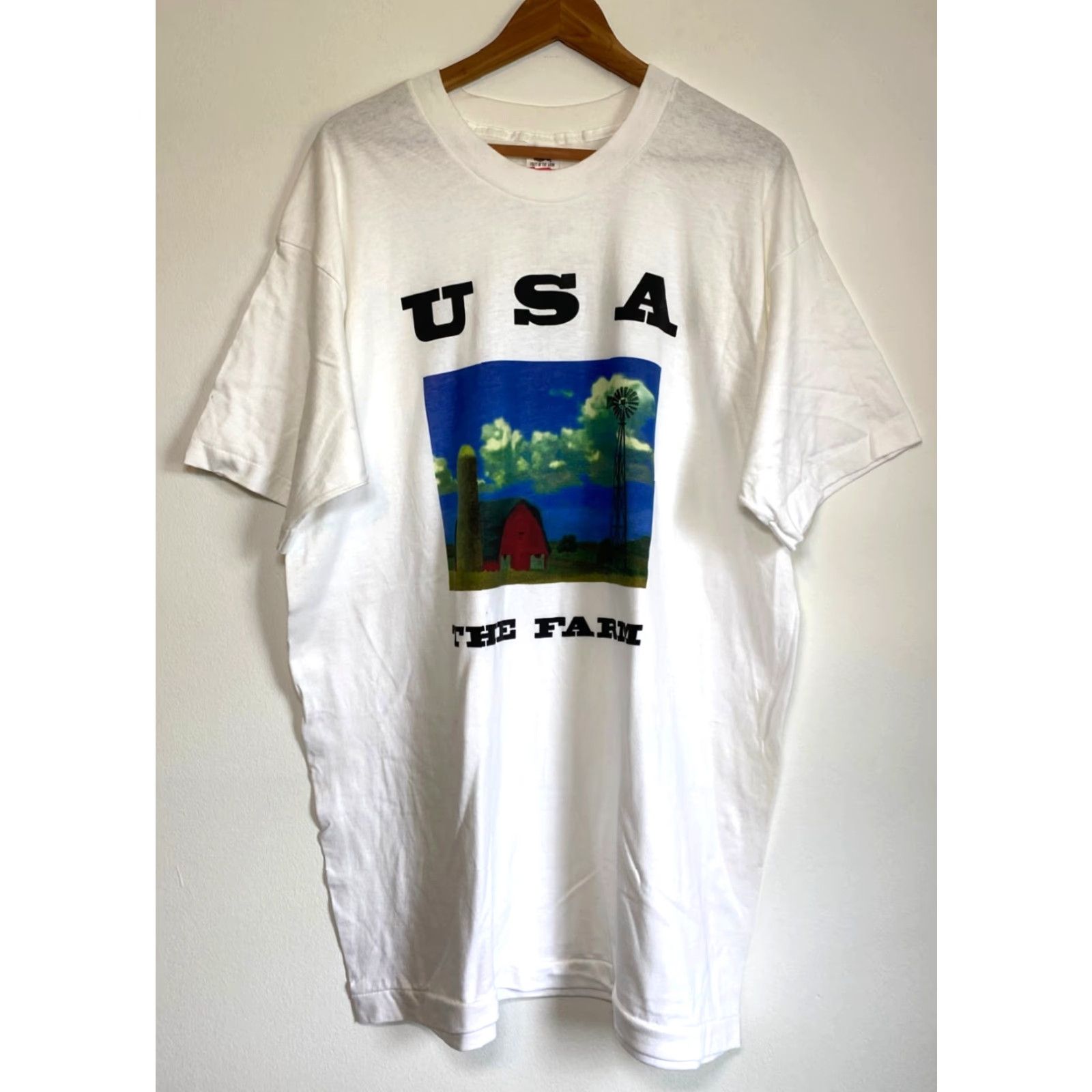 Fruit Of The Loom Fruit of the Loom T-Shirt 90s USA Monuments of America White XL Vintage Unisex Adults Boys Girls Mens Womens Size US XL / EU 56 / 4 - 2 Thumbnail