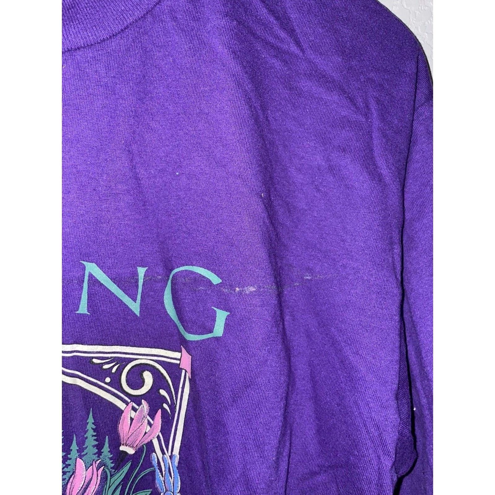 Jerzees Vintage Wyoming Shirt Mountain Cabin Tee VTG 90s L Large Size US L / EU 52-54 / 3 - 5 Thumbnail