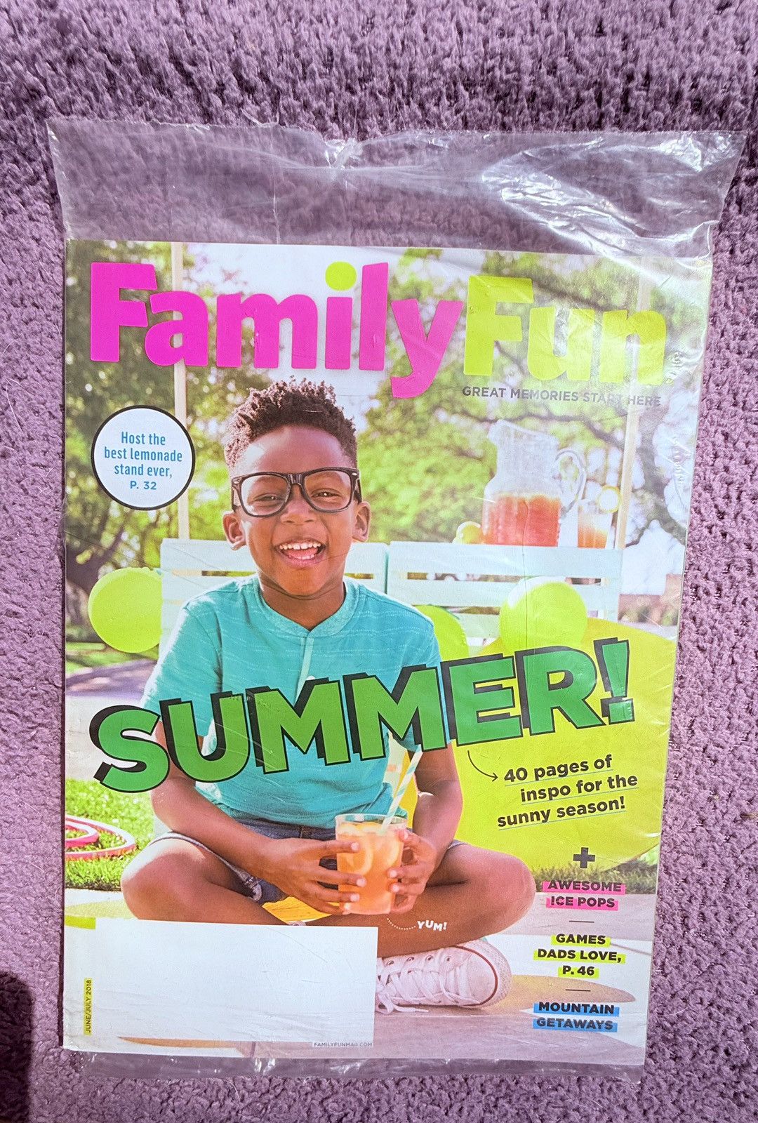 Other Parents & Family Fun Magazine Lot 2017 2018 Summer Size ONE SIZE - 7 Thumbnail