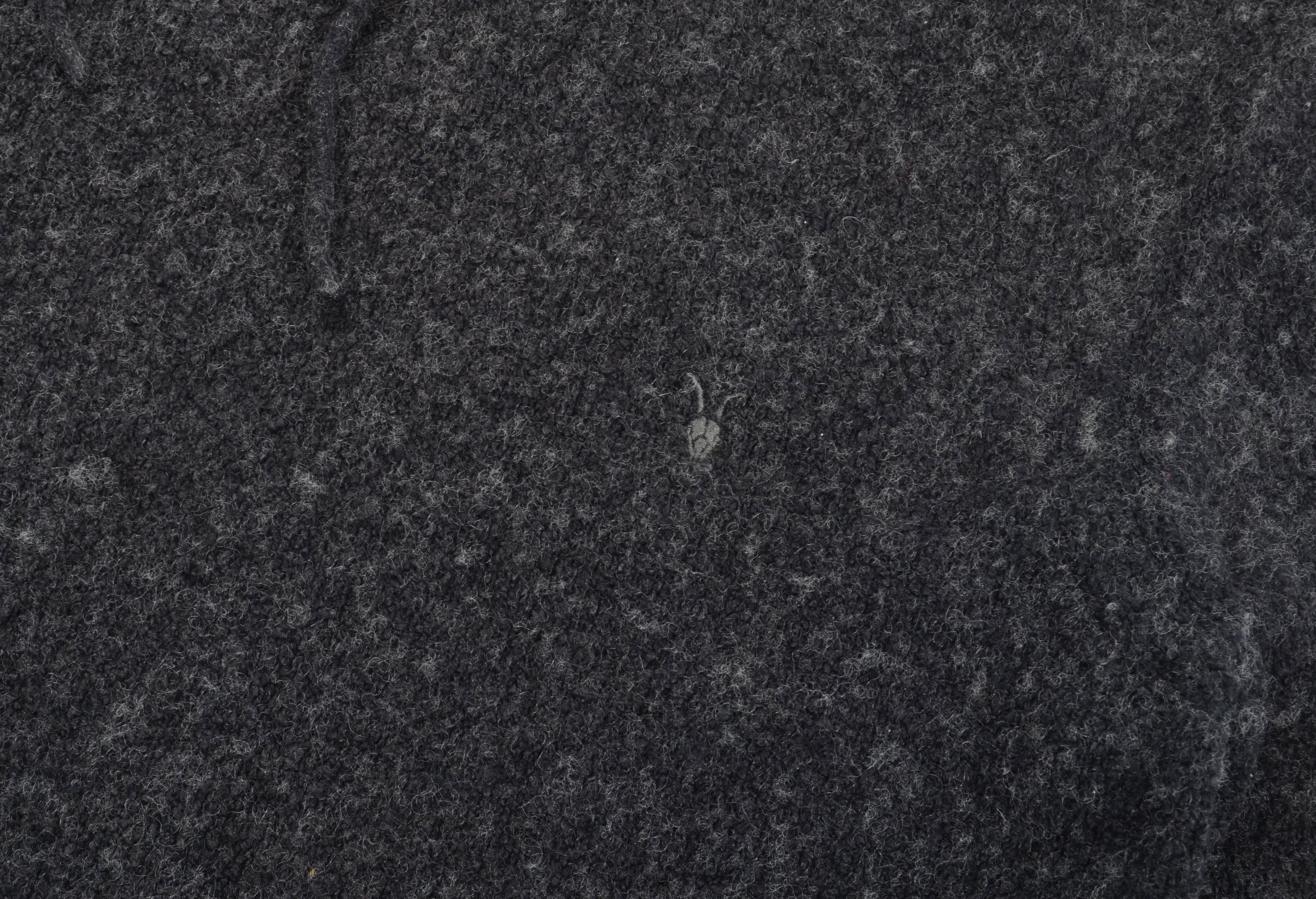Allsaints Allsaints Cotton Wool Blend Warm Long Sleeve Hoodie Size US M / EU 48-50 / 2 - 3 Thumbnail