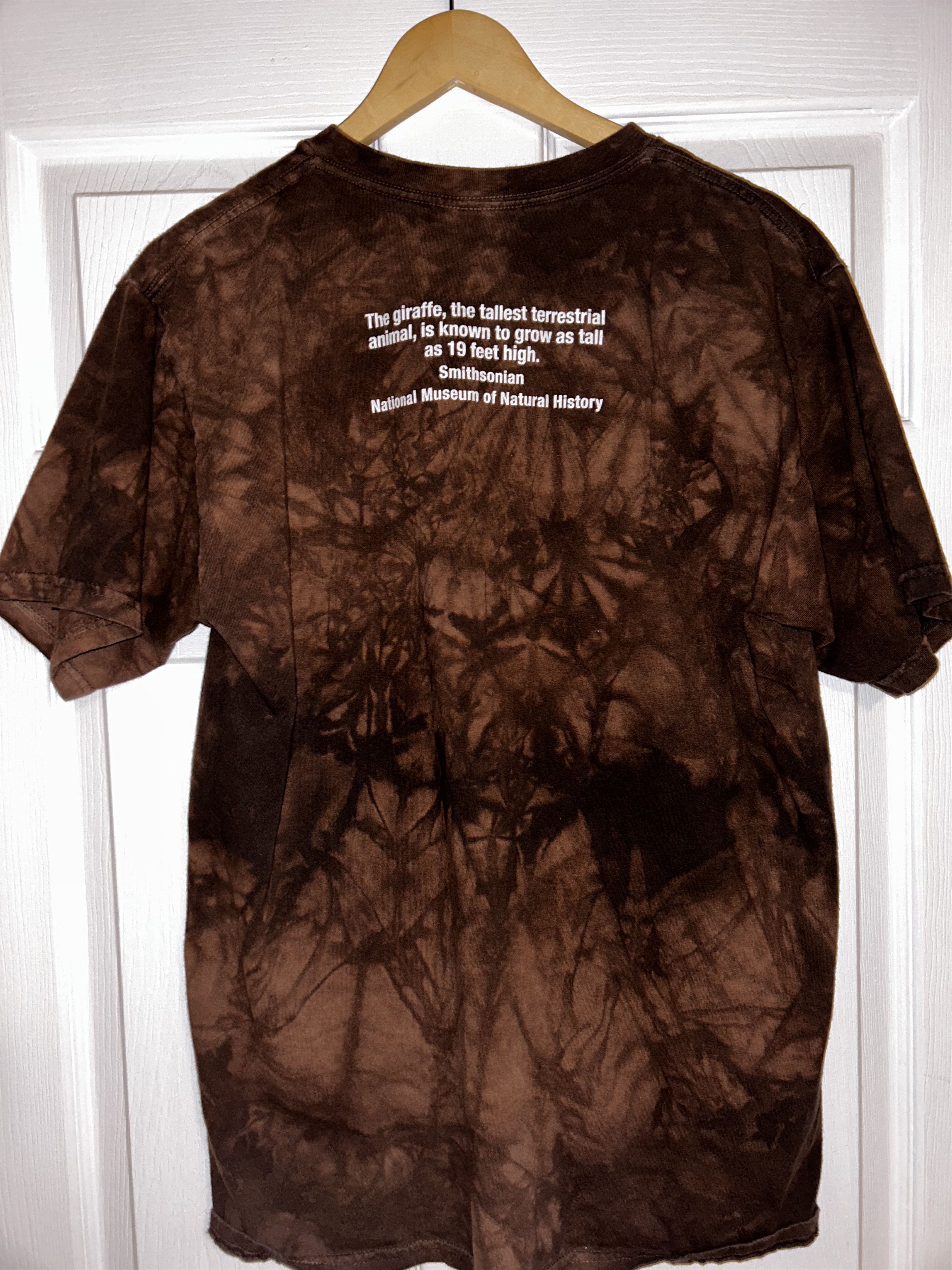 Vintage Smithsonian Graphic Tee Size US L / EU 52-54 / 3 - 3 Thumbnail