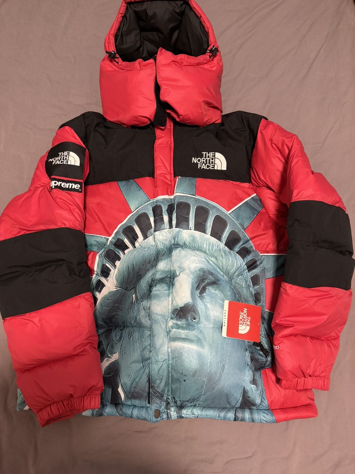 The North Face Supreme tnf north statue of liberty baltoro nuptse Jacket Size US M / EU 48-50 / 2 - 1 Thumbnail
