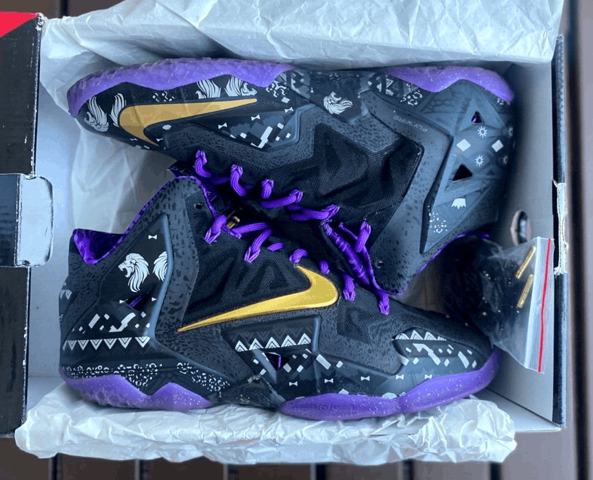 Lebron 11 hotsell black history month