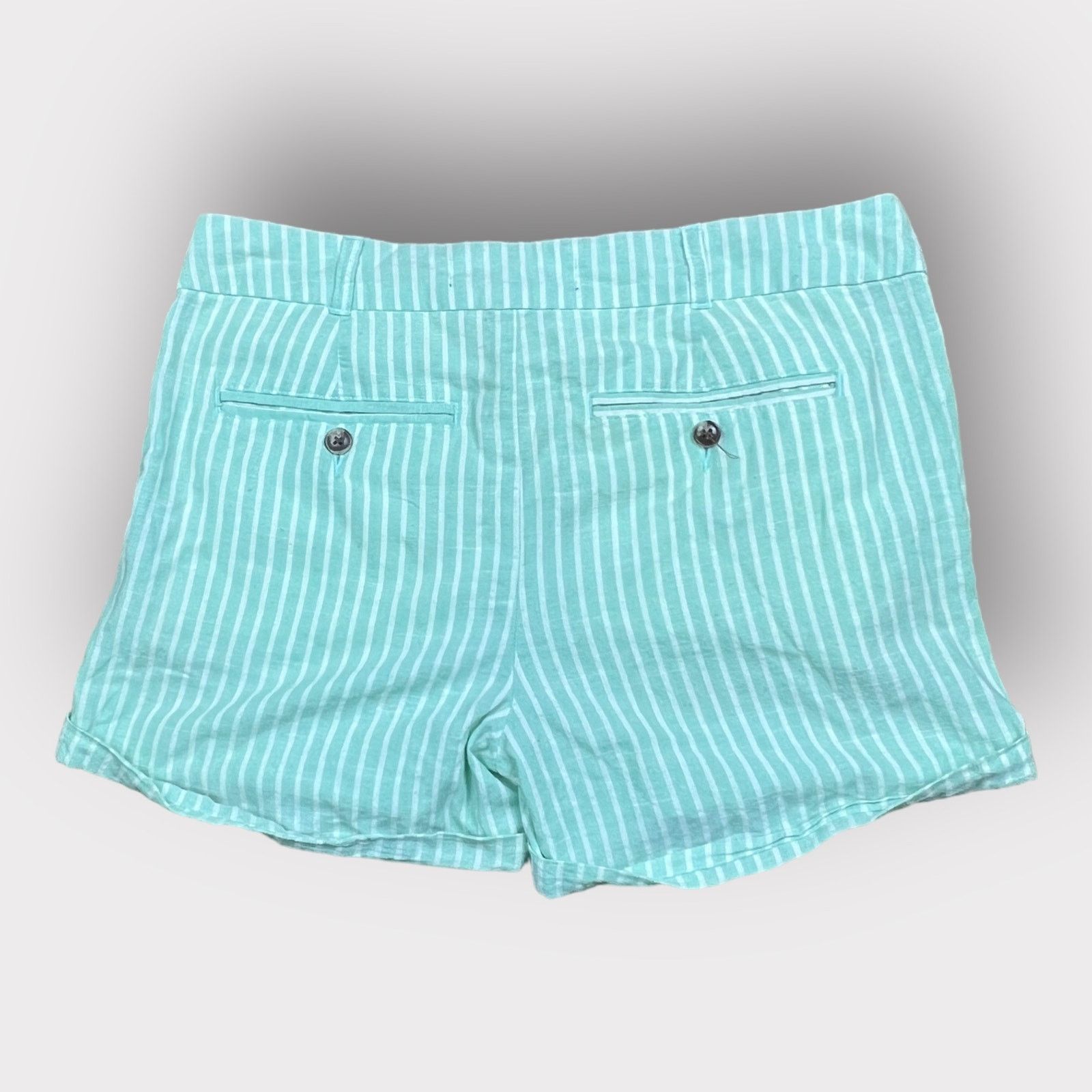 Other Blue Rain | Striped Green Pastel Shorts | Large Size 32" / US 10 / IT 46 - 2 Thumbnail