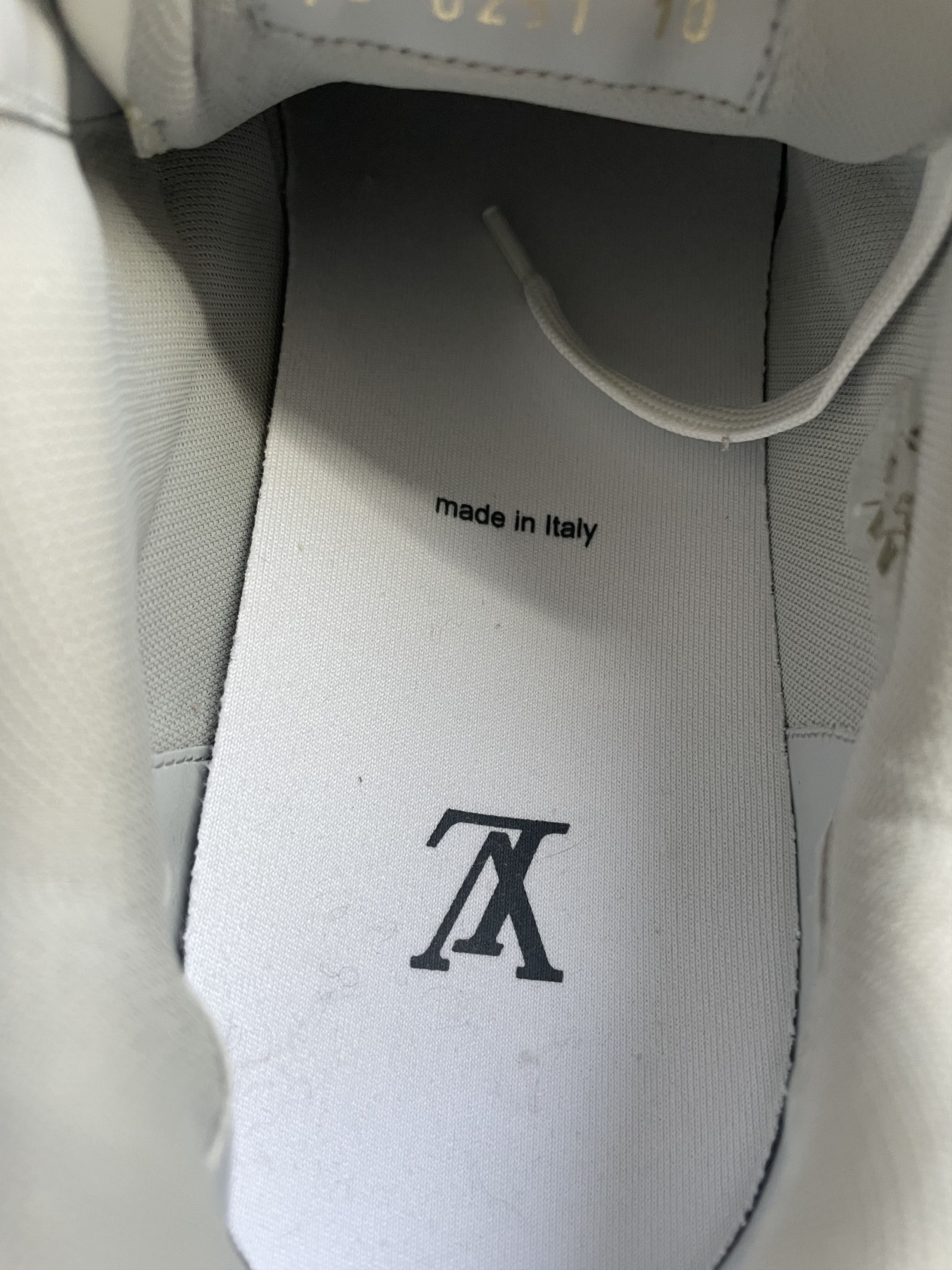 Louis Vuitton Trainer White Signature