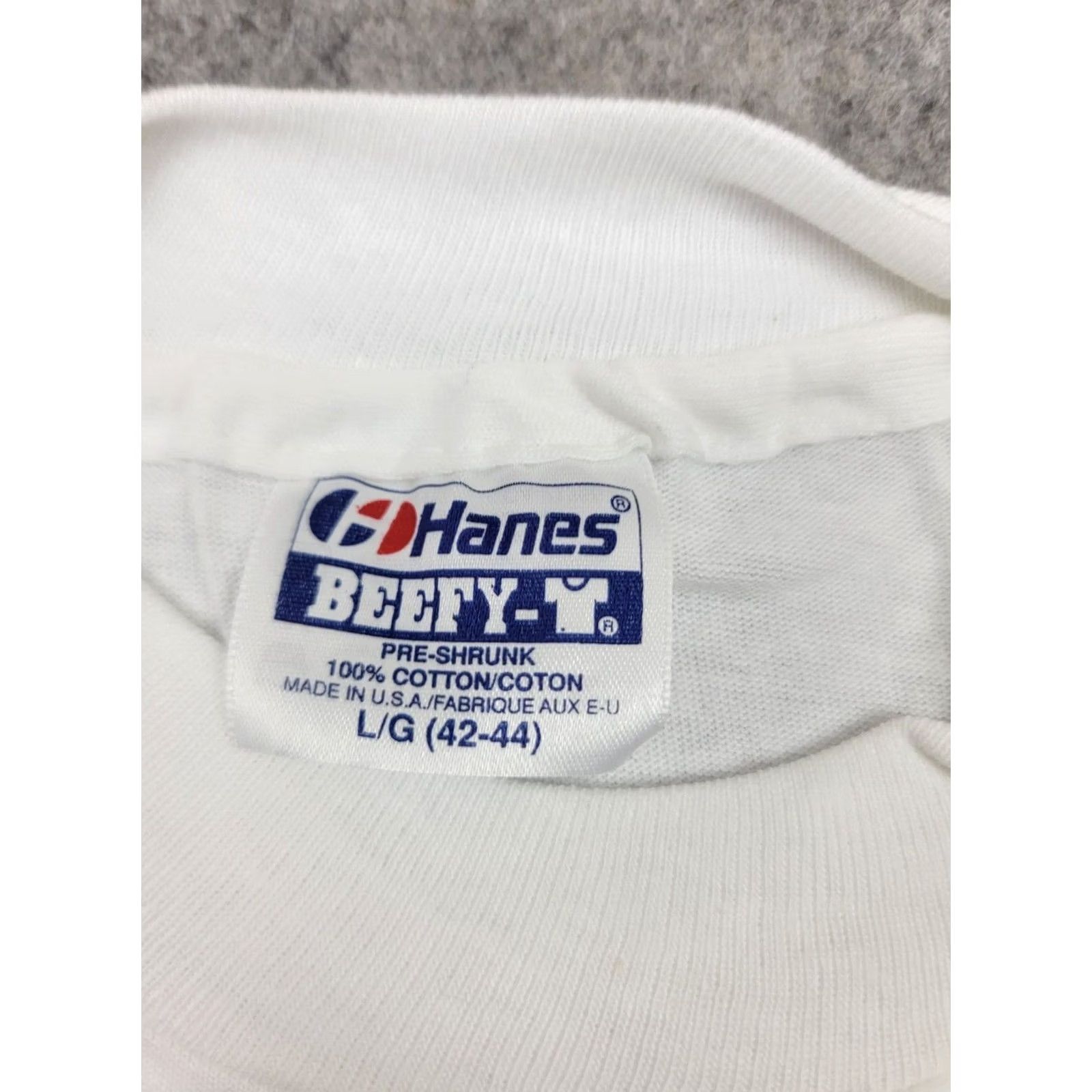 Hanes Hanes Beefy-T Rainforest Shirt Adult Large White Cotton Graphic Print Toucan 90s Colorful Animals Tropical Mens Size US L / EU 52-54 / 3 - 4 Thumbnail