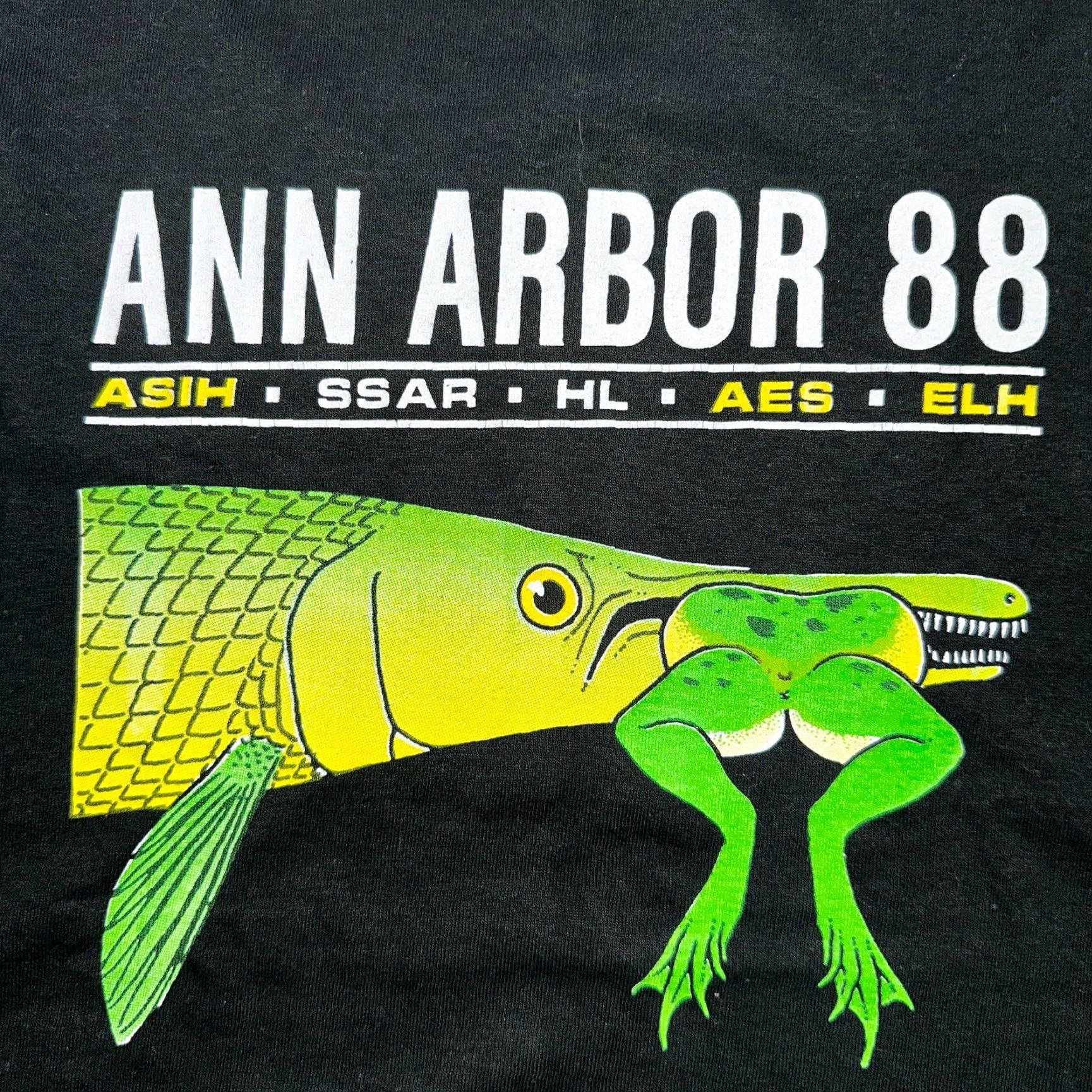Fruit Of The Loom VINTAGE Fruit of the Loom T-Shirt Mens XL Black 80s 90s Ann Arbor Frog Graphic Trout Fish Art Fishing Hunt Cheap Vintage Shirts Size US XL / EU 56 / 4 - 2 Thumbnail