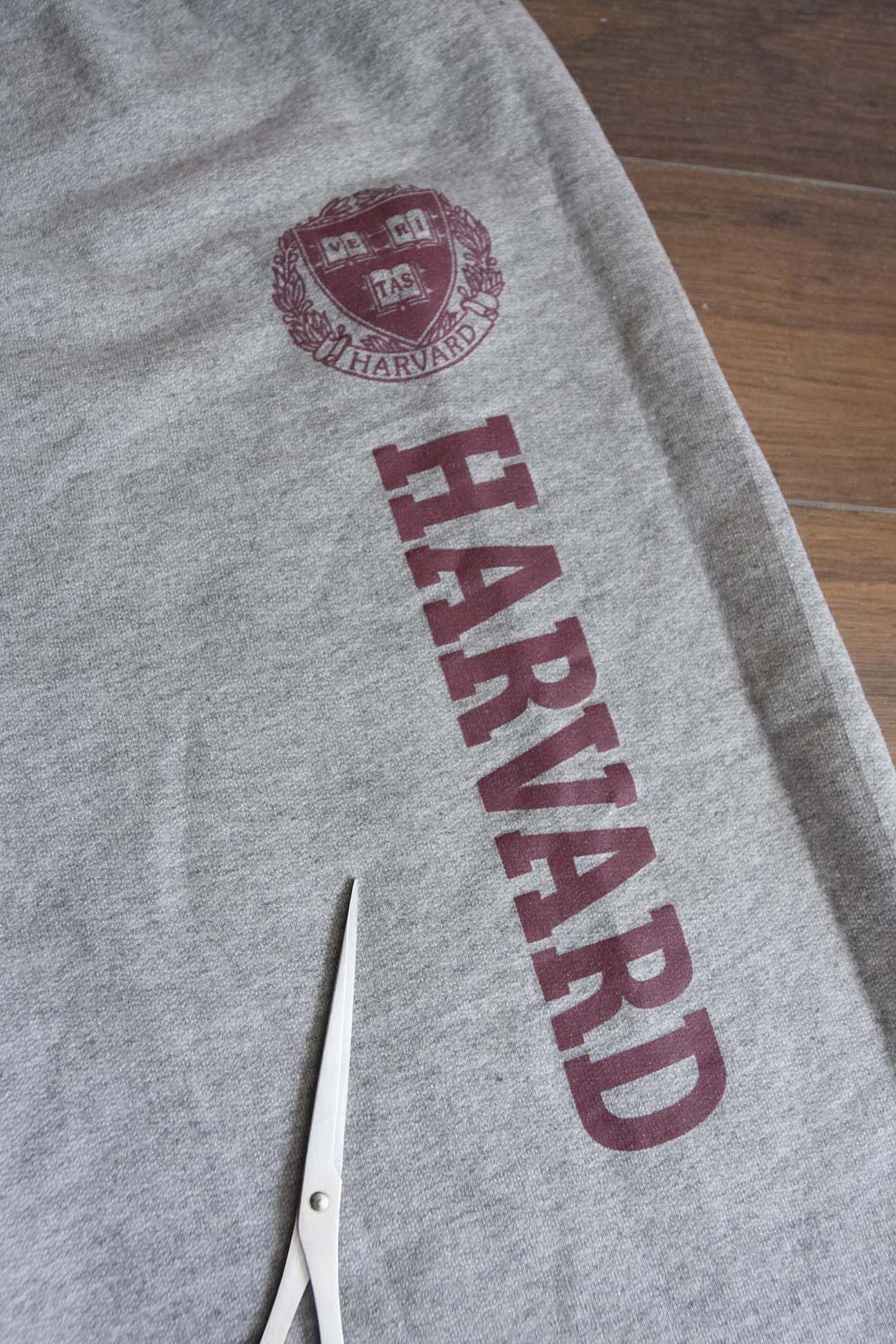 Jerzees × Vintage Harvard University Sweatpants Size M / 35x30 Gray Size US 35 - 4 Thumbnail