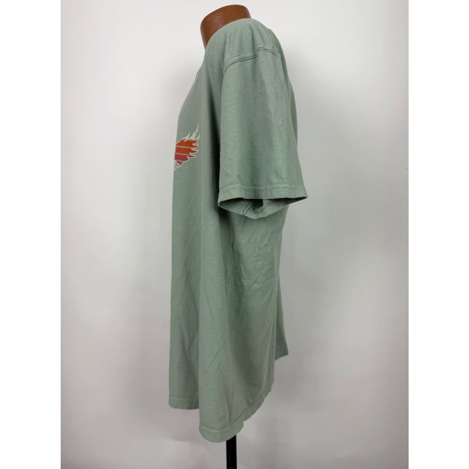 Comfort Colors Sitka Alaska Shirt Men XL Green Cotton T-Shirt Crew Neck Short Sleeve Graphic Print Bird Nature Outdoor Decade 2000s (If applicable) Size US XL / EU 56 / 4 - 6 Thumbnail