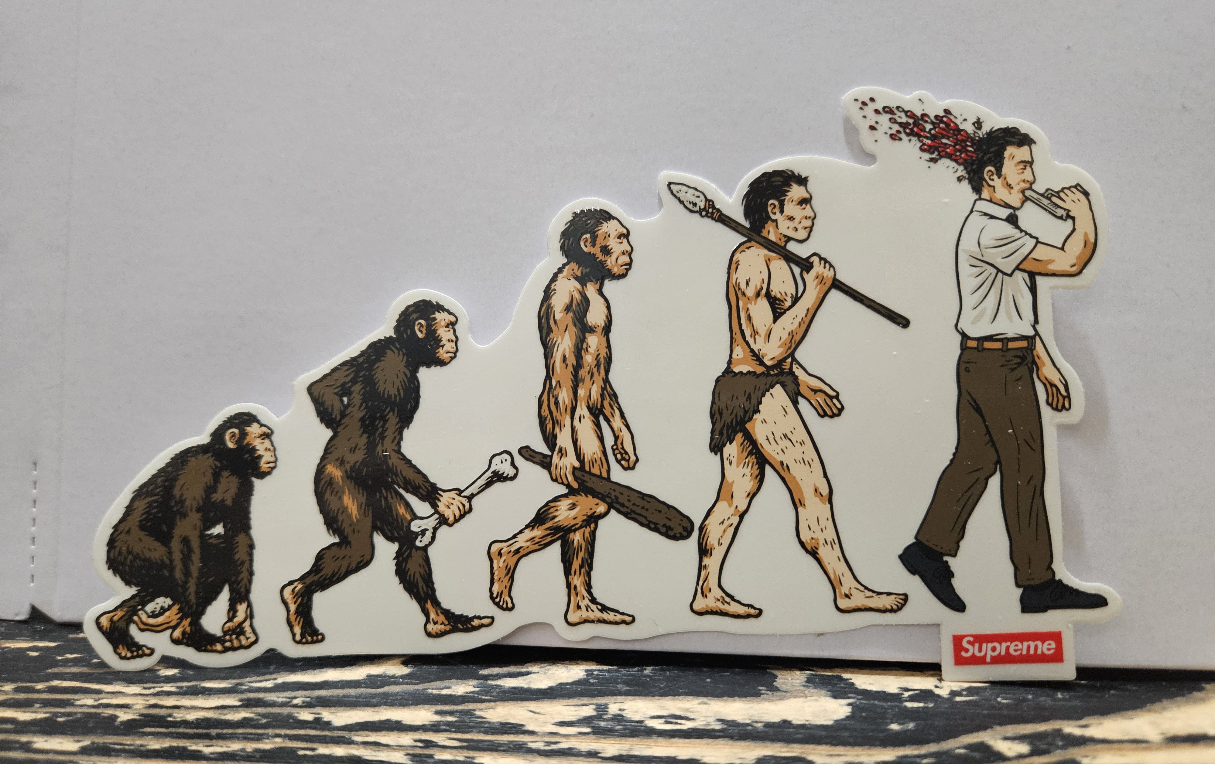 Supreme Supreme Evolution Sticker SS26 + FREE SURPRISE Size ONE SIZE - 2 Thumbnail
