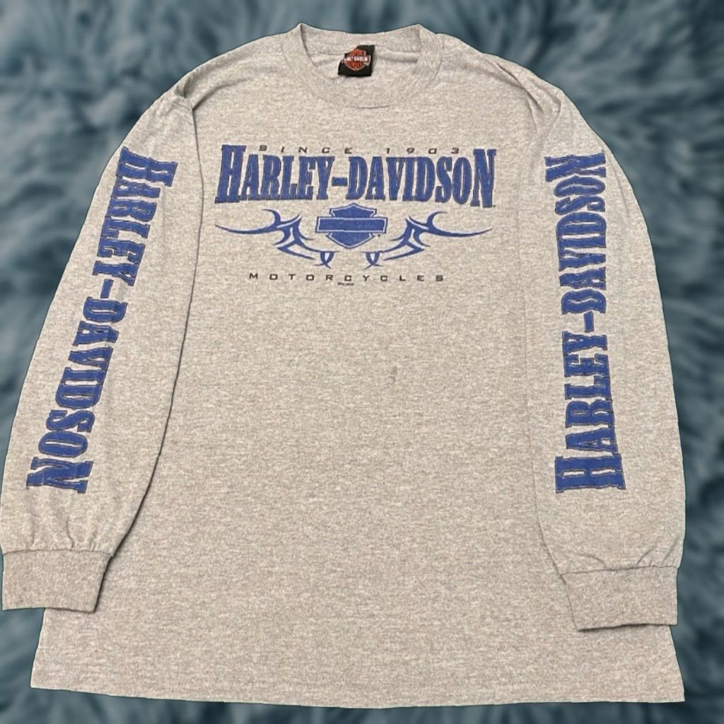 Harley Davidson VINTAGE Harley-Davidson Biker Logo Long Sleeve Shirt Mens L Gray 90s Y2K Spider Web Logo 2012 Florida Size US L / EU 52-54 / 3 - 1 Thumbnail