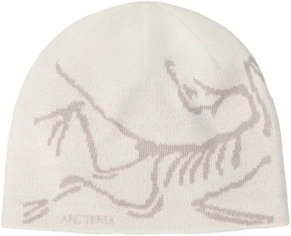 Arc'teryx × Streetwear Arc'Teryx Bird Head Toque Beanie Arctic