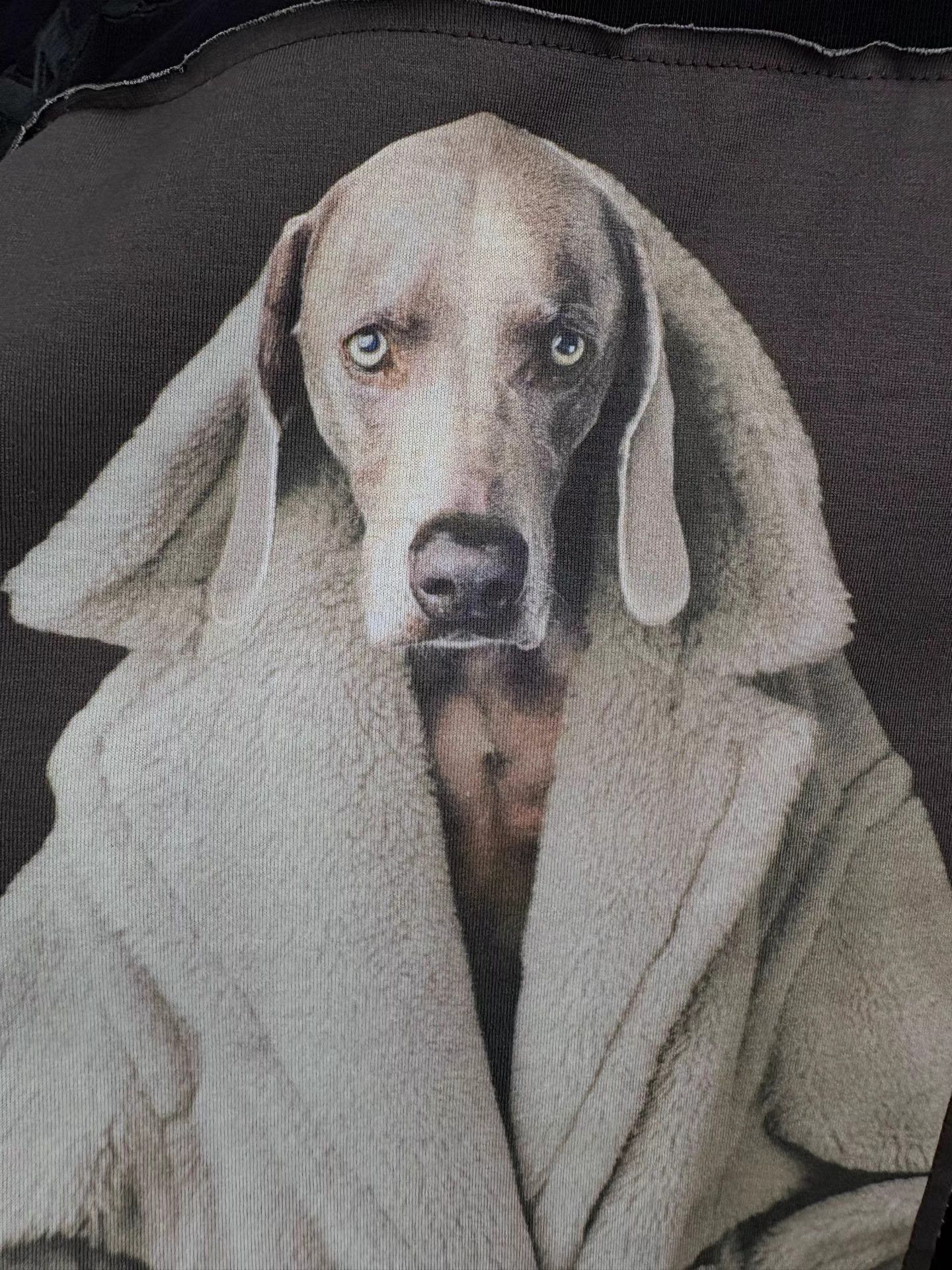 Max Mara MAX MARA Hound Print Hoodie K1 Size S / US 4 / IT 40 - 3 Thumbnail