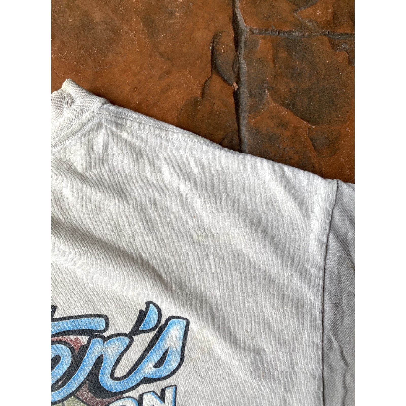 Harley Davidson VINTAGE Harley-Davidson T-Shirt Man Cream 2000s Y2K Graphic Print Harley-Davidson Alligator Florida Sarasota Size US L / EU 52-54 / 3 - 6 Thumbnail