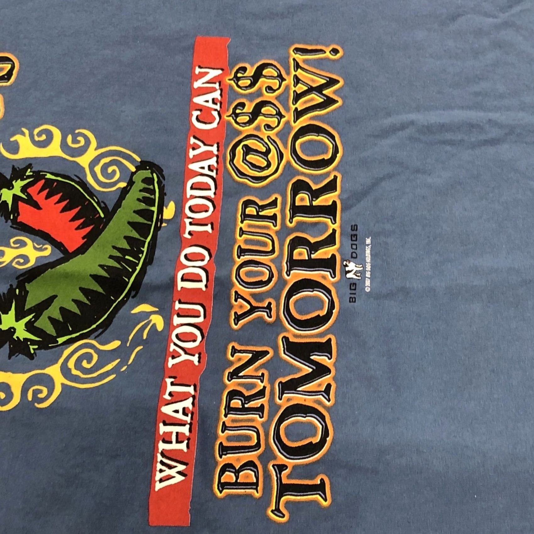 Big Dogs VINTAGE Men's Big Dogs Graphic T-Shirt Life is like a Jar of Jalapenos.. Blue L Mens Size US L / EU 52-54 / 3 - 7 Thumbnail