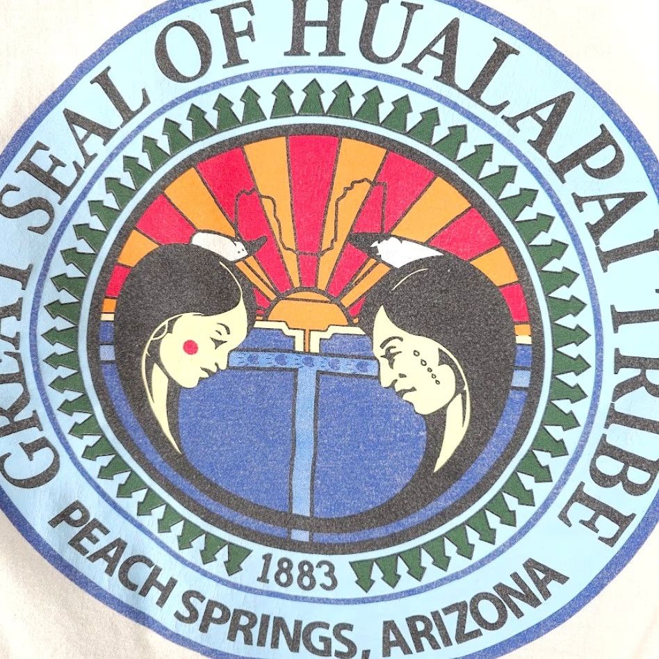 Gildan VINTAGE Grand Canyon West T Shirt Mens Size Medium White Hualapai Tribe Pach Springs Size US M / EU 48-50 / 2 - 5 Thumbnail