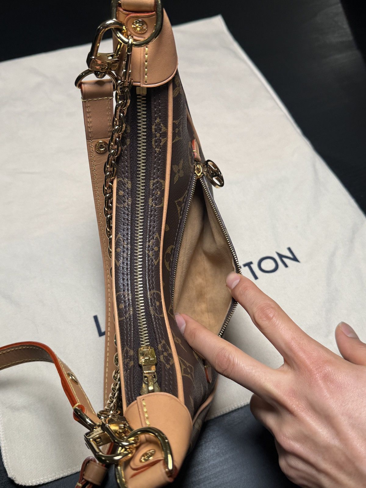 Louis Vuitton LOUIS VUITTON LOOP MONOGRAM BAG Size ONE SIZE - 9 Thumbnail