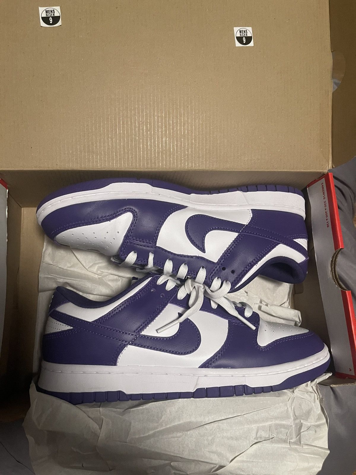 image of Nike Dunk Low Championship Purple Shoes, Men's (Size 9)