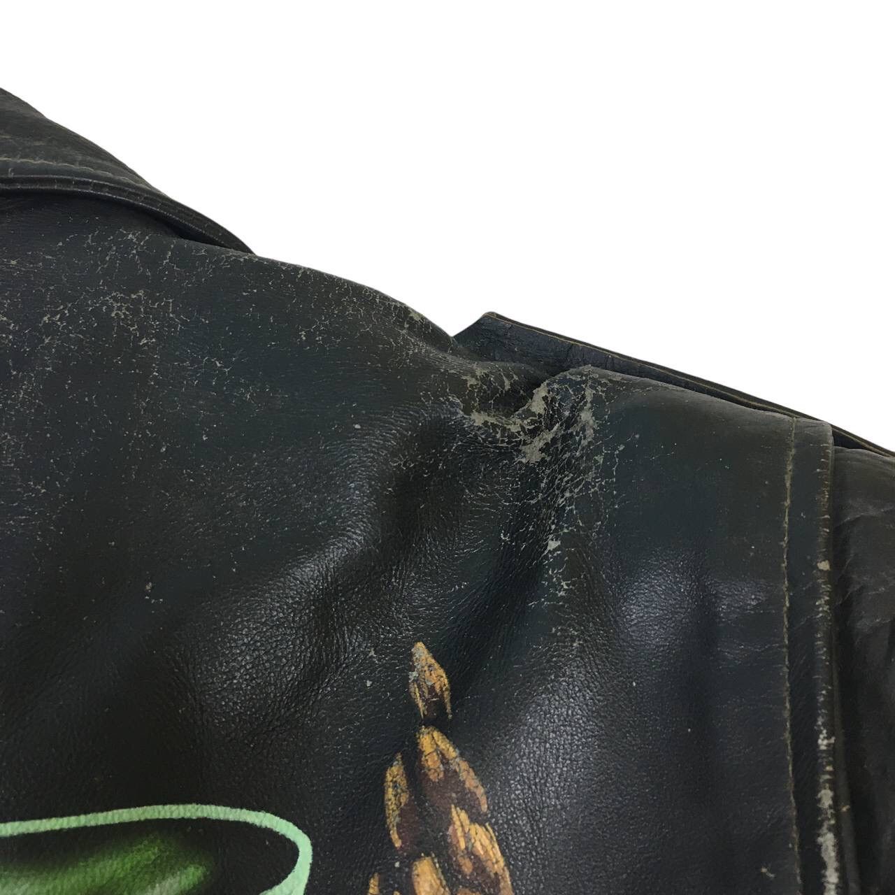 Genuine Leather Akaso Division Harley Davidson Printed Leather Biker Jacket Size US M / EU 48-50 / 2 - 13 Thumbnail