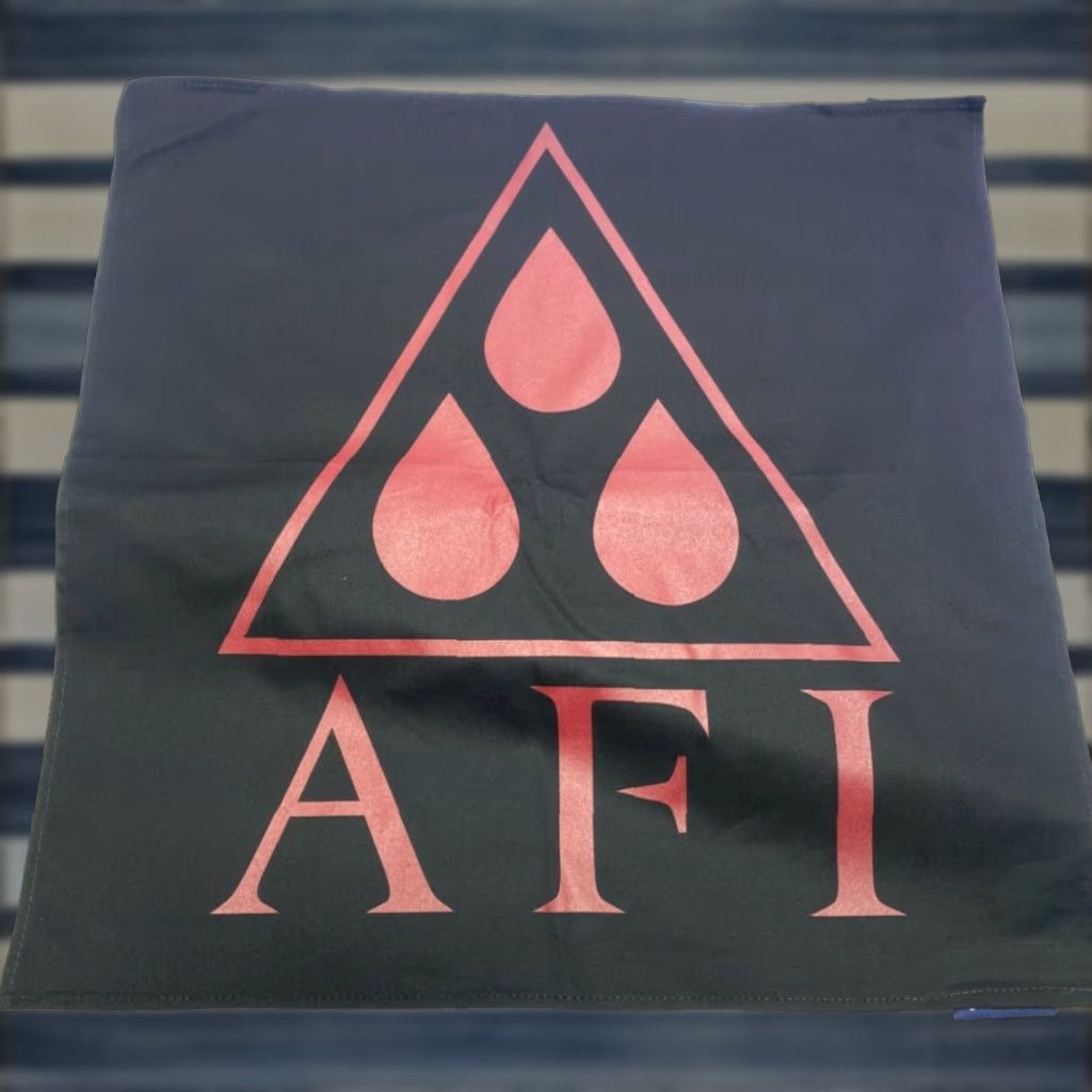 Vintage VINTAGE AFI Bandana Face Mask Scarf Paisley 20x20 Unisex Cotton The Blood Album Mens Womens Boys Girls Size ONE SIZE - 1 Thumbnail