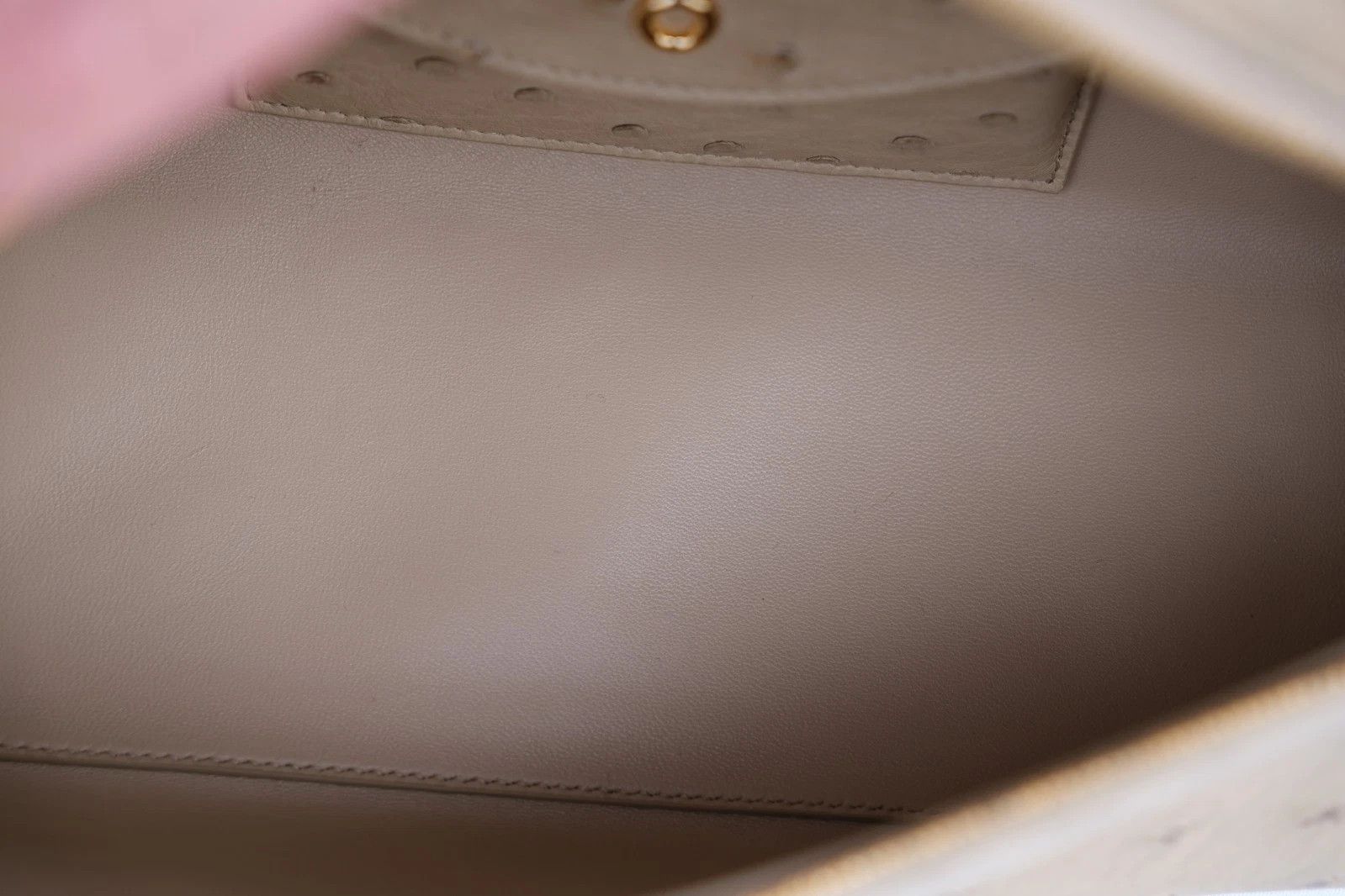 Loro Piana RARE Loro Piana Extra Bag Pocket L27 Ostrich Exotic Sun Gold Size ONE SIZE - 10 Thumbnail