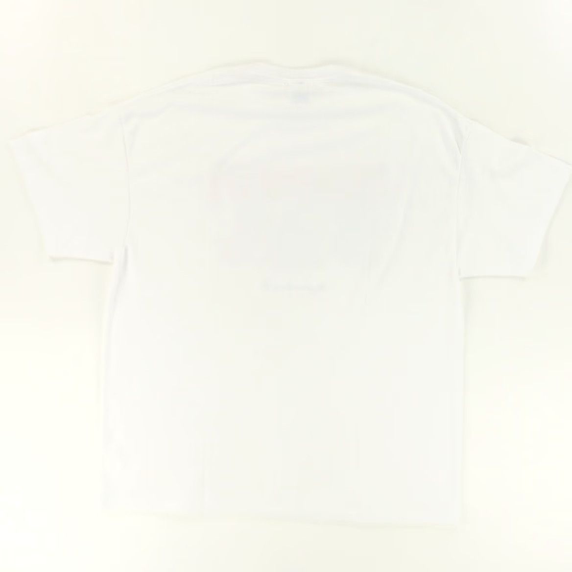 Hanes Hanes Florida Alligator Solid T-Shirt White Men's XL Shirt Size US XL / EU 56 / 4 - 4 Thumbnail